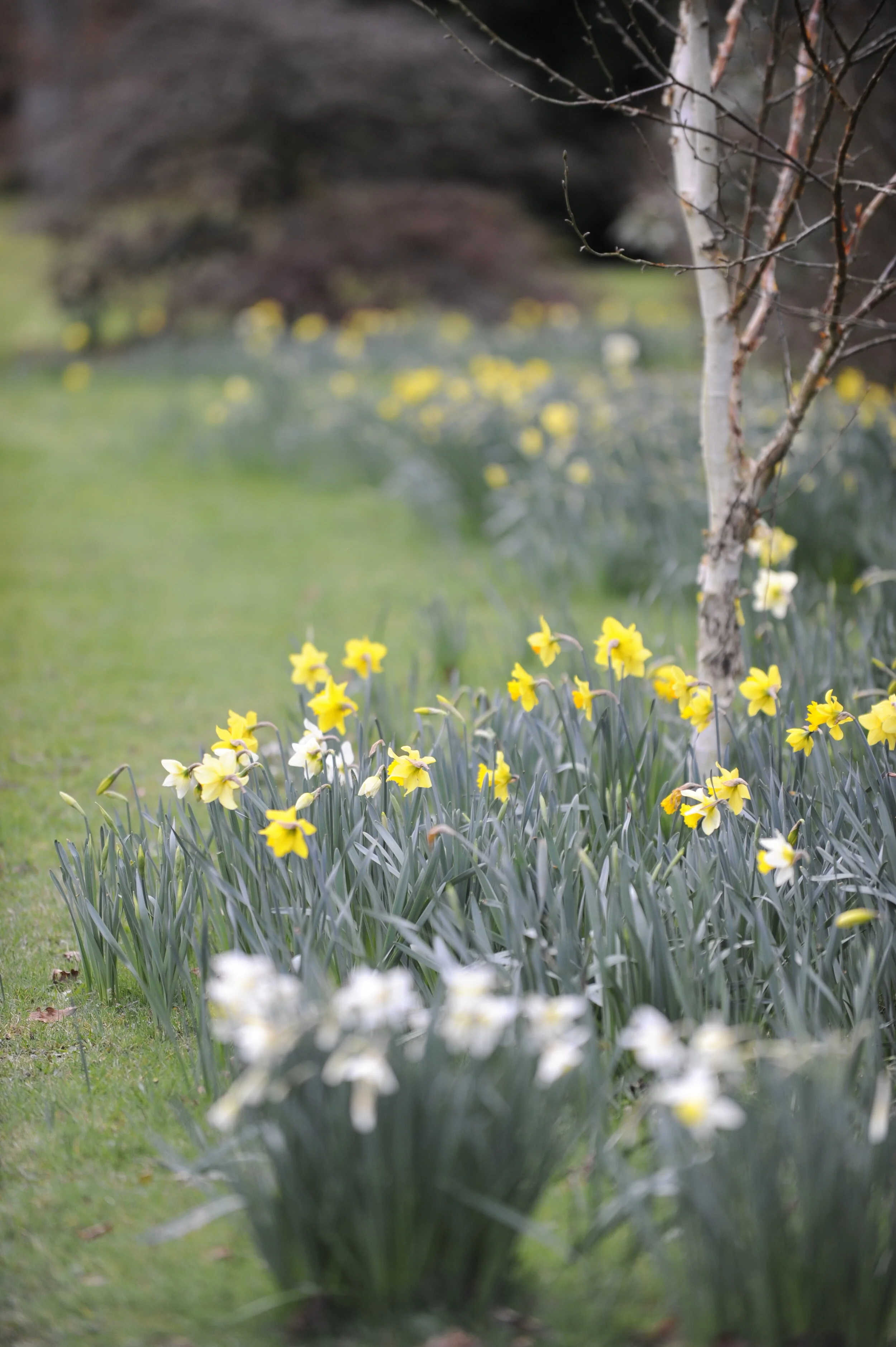 March on the Heaselands Estate