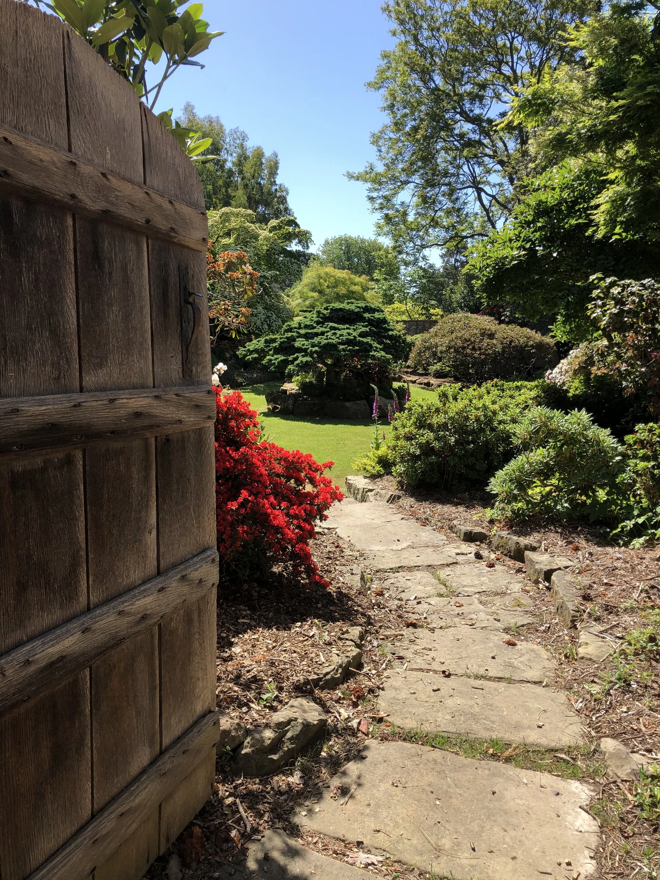 May on the Heaselands Estate