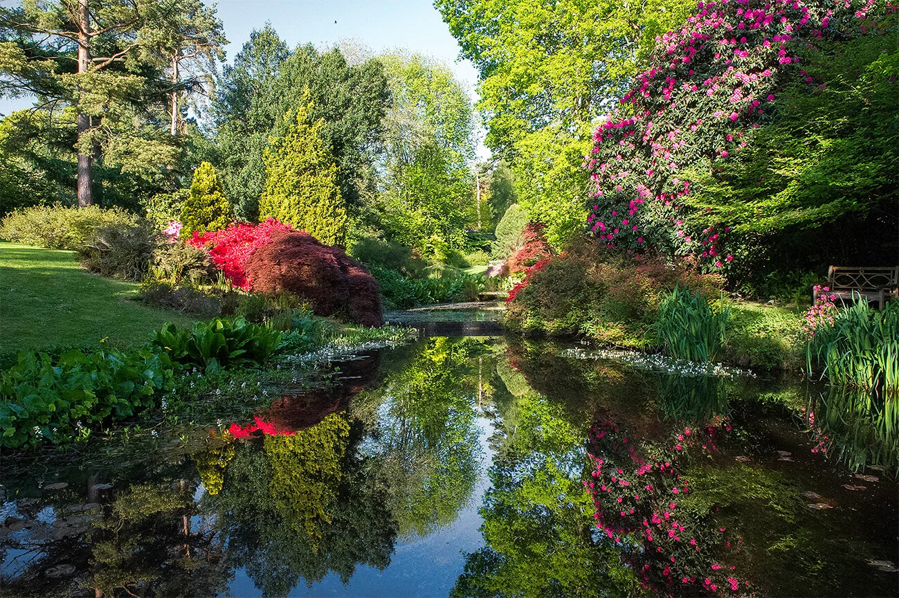 May on the Heaselands Estate
