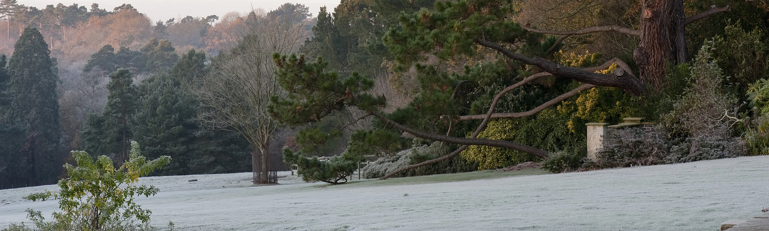 December on the Heaselands Estate