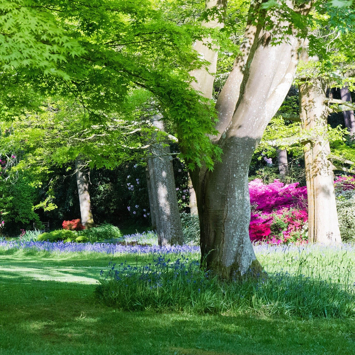 #heaselandsphotolocation
#heaselandsestate
#photolocation
#fashionlocation
#woodlandlocation
#luxurybrands
#englishcountryestate
#location
#locationlocationlocation
#locationphotography
#videolocation
#filmlocation
#onlocation
#locationfilming
#video
