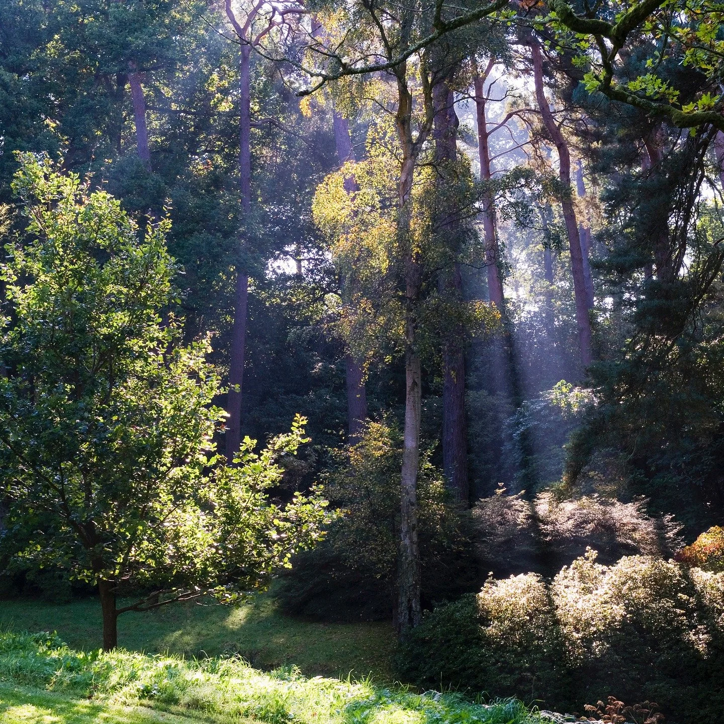 #heaselandsphotolocation
#heaselandsestate
#photolocation
#filmfriendly
#fashionlocation
#woodlandlocation
#luxurybrands
#englishcountryestate
#location
#locationlocationlocation
#locationphotography
#videolocation
#filmlocation
#onlocation
#location