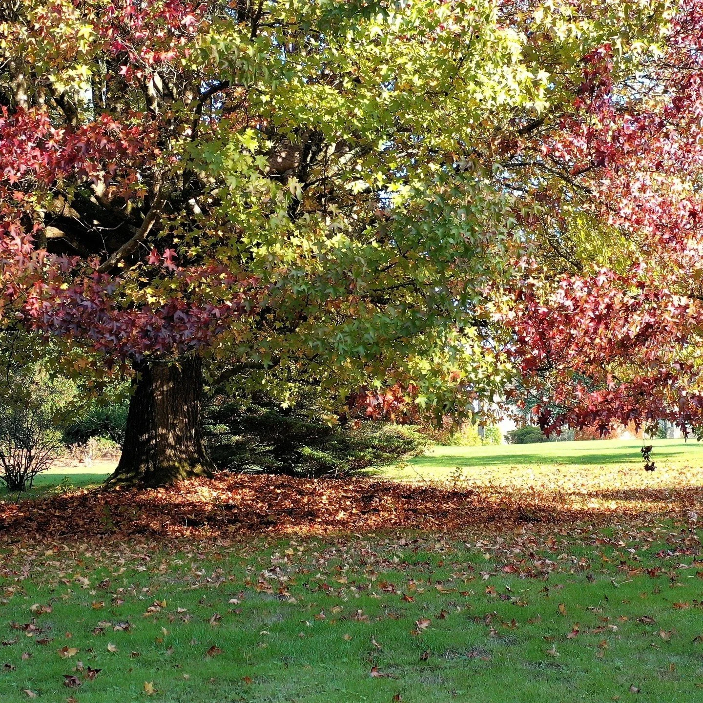 #heaselandsphotolocation
#heaselandsestate
#photolocation
#filmfriendly
#fashionlocation
#woodlandlocation
#luxurybrands
#englishcountryestate
#location
#locationlocationlocation
#locationphotography
#videolocation
#filmlocation
#onlocation
#location