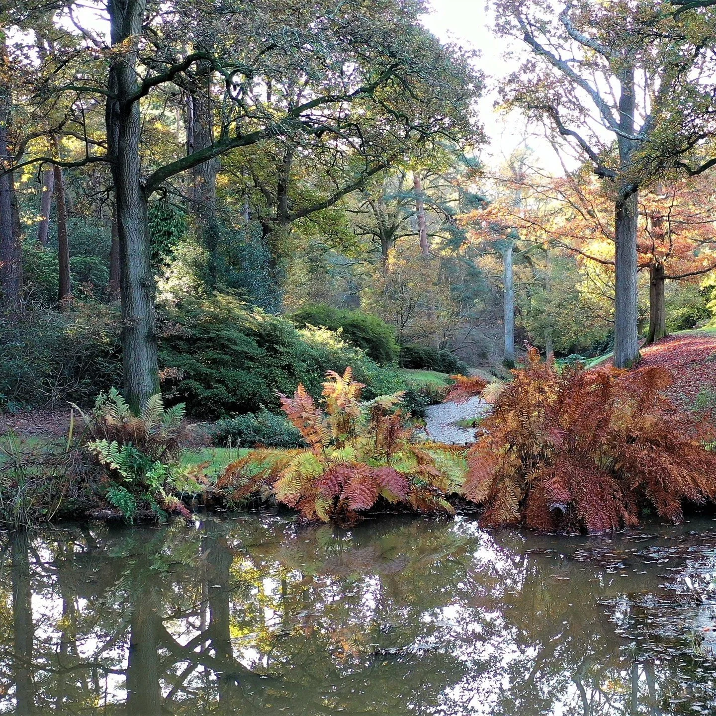 #heaselandsphotolocation
#heaselandsestate
#photolocation
#filmfriendly
#fashionlocation
#woodlandlocation
#luxurybrands
#englishcountryestate
#location
#locationlocationlocation
#locationphotography
#videolocation
#filmlocation
#onlocation
#location