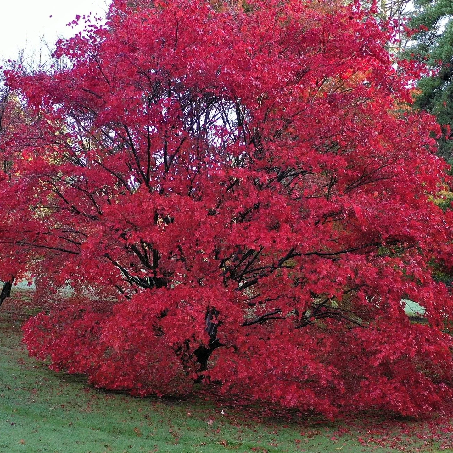 #heaselandsphotolocation
#heaselandsestate
#photolocation
#filmfriendly
#fashionlocation
#woodlandlocation
#luxurybrands
#englishcountryestate
#location
#locationlocationlocation
#locationphotography
#videolocation
#filmlocation
#onlocation
#location