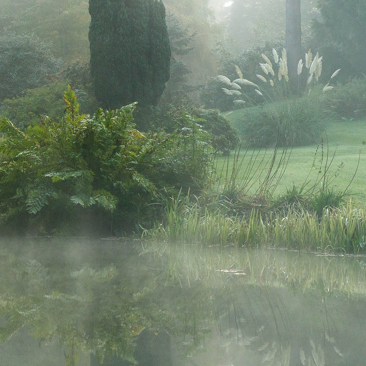 #heaselandsphotolocation
#heaselandsestate
#photolocation
#filmfriendly
#fashionlocation
#woodlandlocation
#luxurybrands
#englishcountryestate
#location
#locationlocationlocation
#locationphotography
#videolocation
#filmlocation
#onlocation
#location