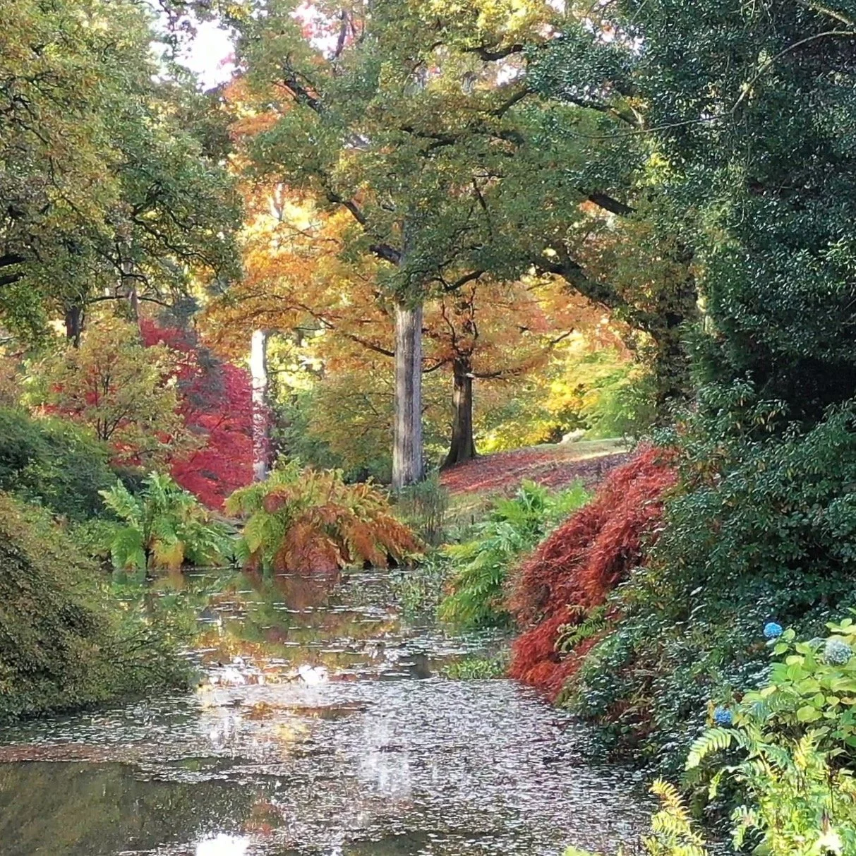 #heaselandsphotolocation
#heaselandsestate
#photolocation
#filmfriendly
#fashionlocation
#woodlandlocation
#luxurybrands
#englishcountryestate
#location
#locationlocationlocation
#locationphotography
#videolocation
#filmlocation
#onlocation
#location