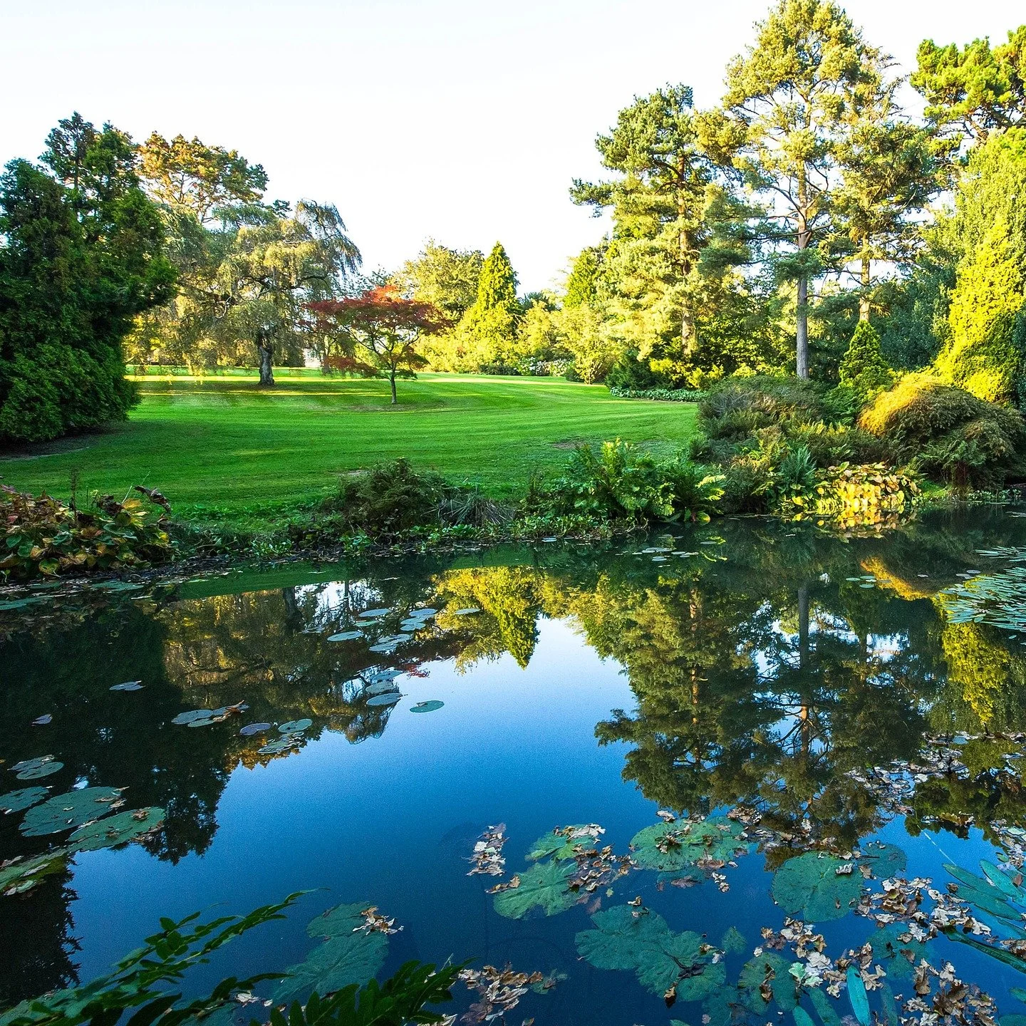 #heaselandsphotolocation
#heaselandsestate
#photolocation
#filmfriendly
#fashionlocation
#woodlandlocation
#luxurybrands
#englishcountryestate
#location
#locationlocationlocation
#locationphotography
#videolocation
#filmlocation
#onlocation
#location