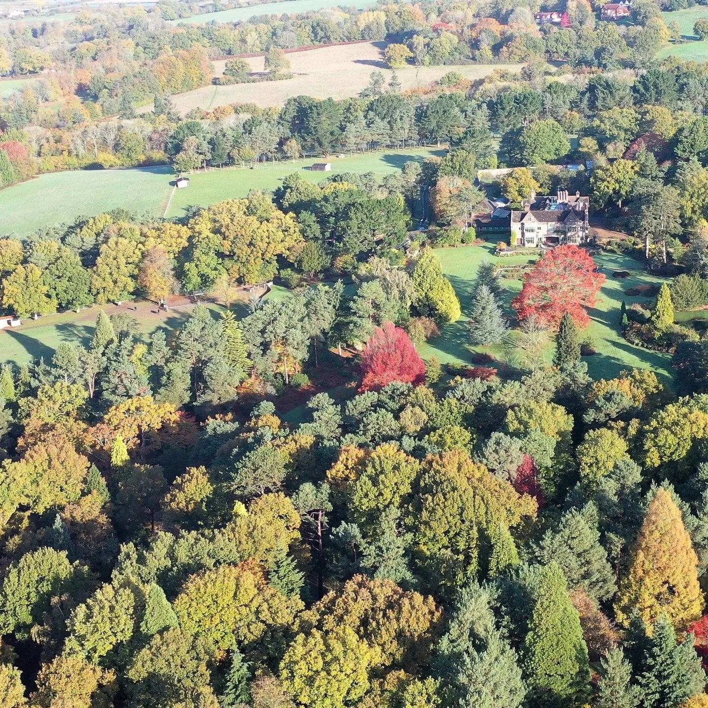 #heaselandsphotolocation
#heaselandsestate
#photolocation
#filmfriendly
#fashionlocation
#woodlandlocation
#luxurybrands
#englishcountryestate
#location
#locationlocationlocation
#locationphotography
#videolocation
#filmlocation
#onlocation
#location