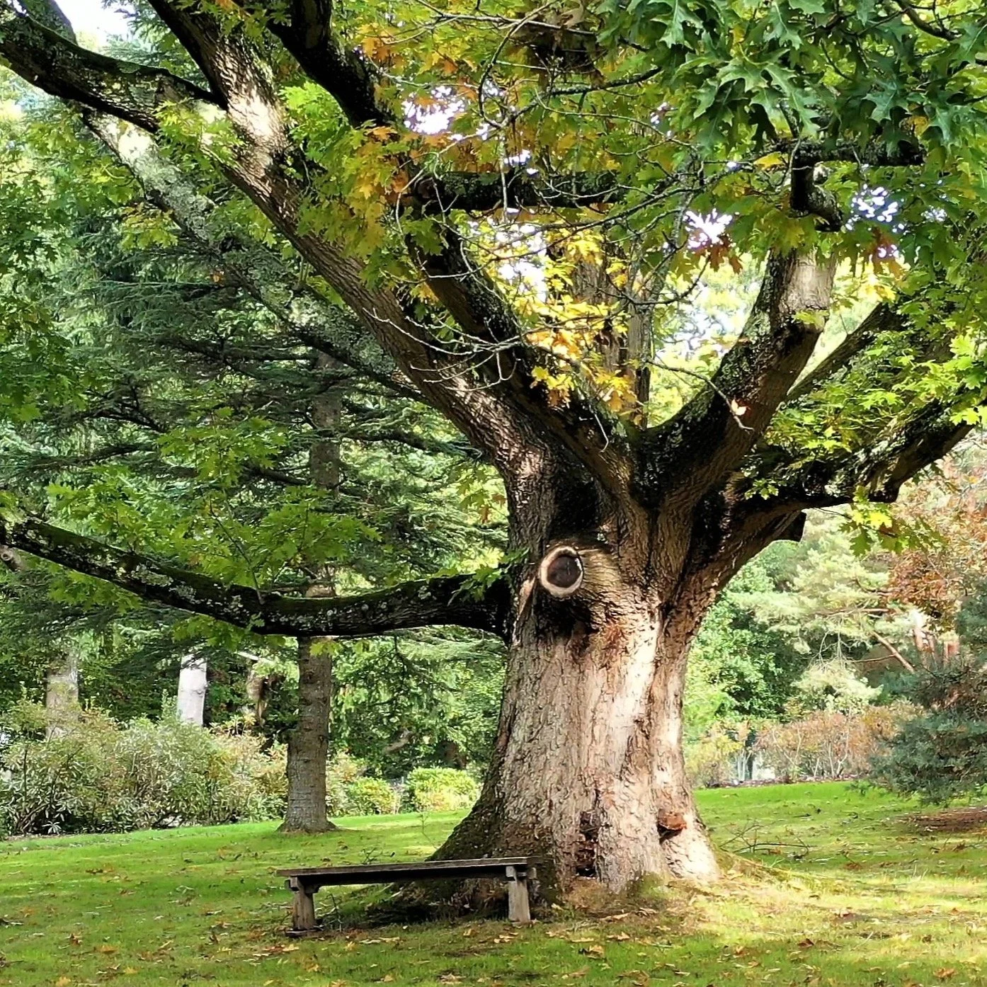 #heaselandsphotolocation
#heaselandsestate
#photolocation
#filmfriendly
#fashionlocation
#woodlandlocation
#luxurybrands
#englishcountryestate
#location
#locationlocationlocation
#locationphotography
#videolocation
#filmlocation
#onlocation
#location