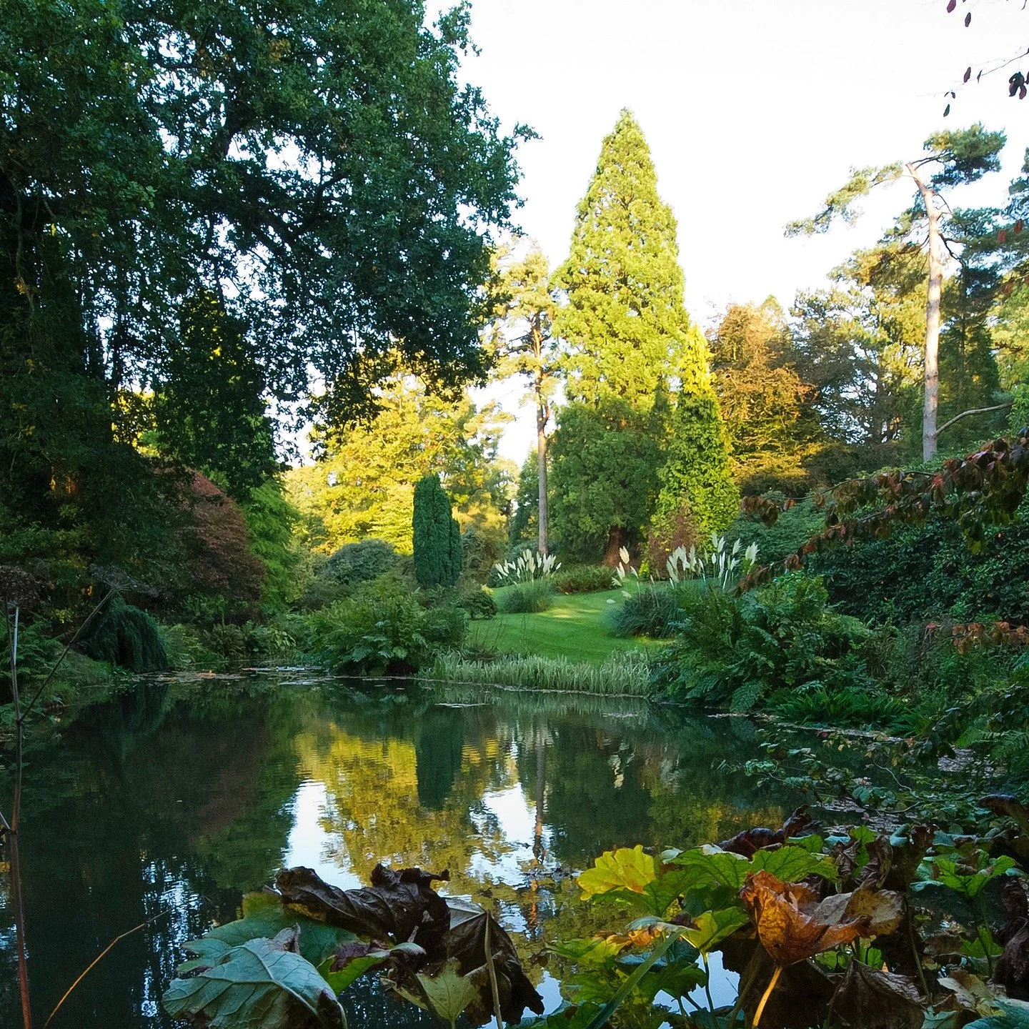 #heaselandsphotolocation
#heaselandsestate
#photolocation
#filmfriendly
#fashionlocation
#woodlandlocation
#luxurybrands
#englishcountryestate
#location
#locationlocationlocation
#locationphotography
#videolocation
#filmlocation
#onlocation
#location