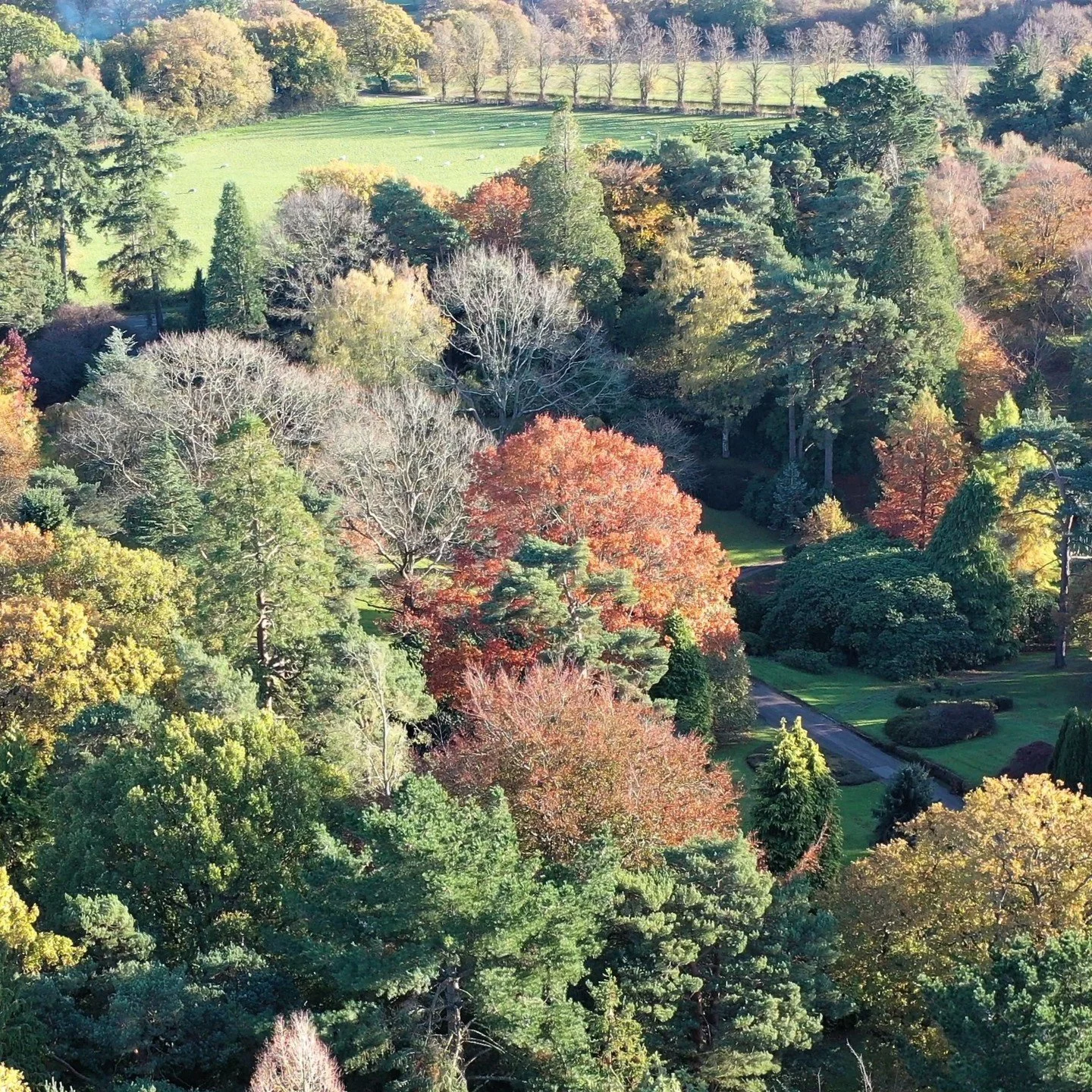 #heaselandsphotolocation
#heaselandsestate
#autumncolours
#photolocation
#filmfriendly
#fashionlocation
#woodlandlocation
#luxurybrands
#englishcountryestate
#location
#locationlocationlocation
#locationphotography
#videolocation
#filmlocation
#onloc