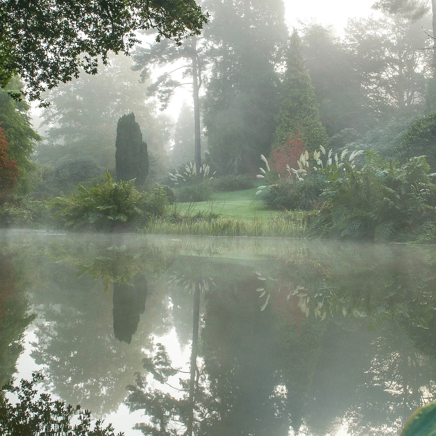 #heaselandsphotolocation
#heaselandsestate
#photolocation
#filmfriendly
#fashionlocation
#woodlandlocation
#luxurybrands
#englishcountryestate
#location
#locationlocationlocation
#locationphotography
#videolocation
#filmlocation
#onlocation
#location