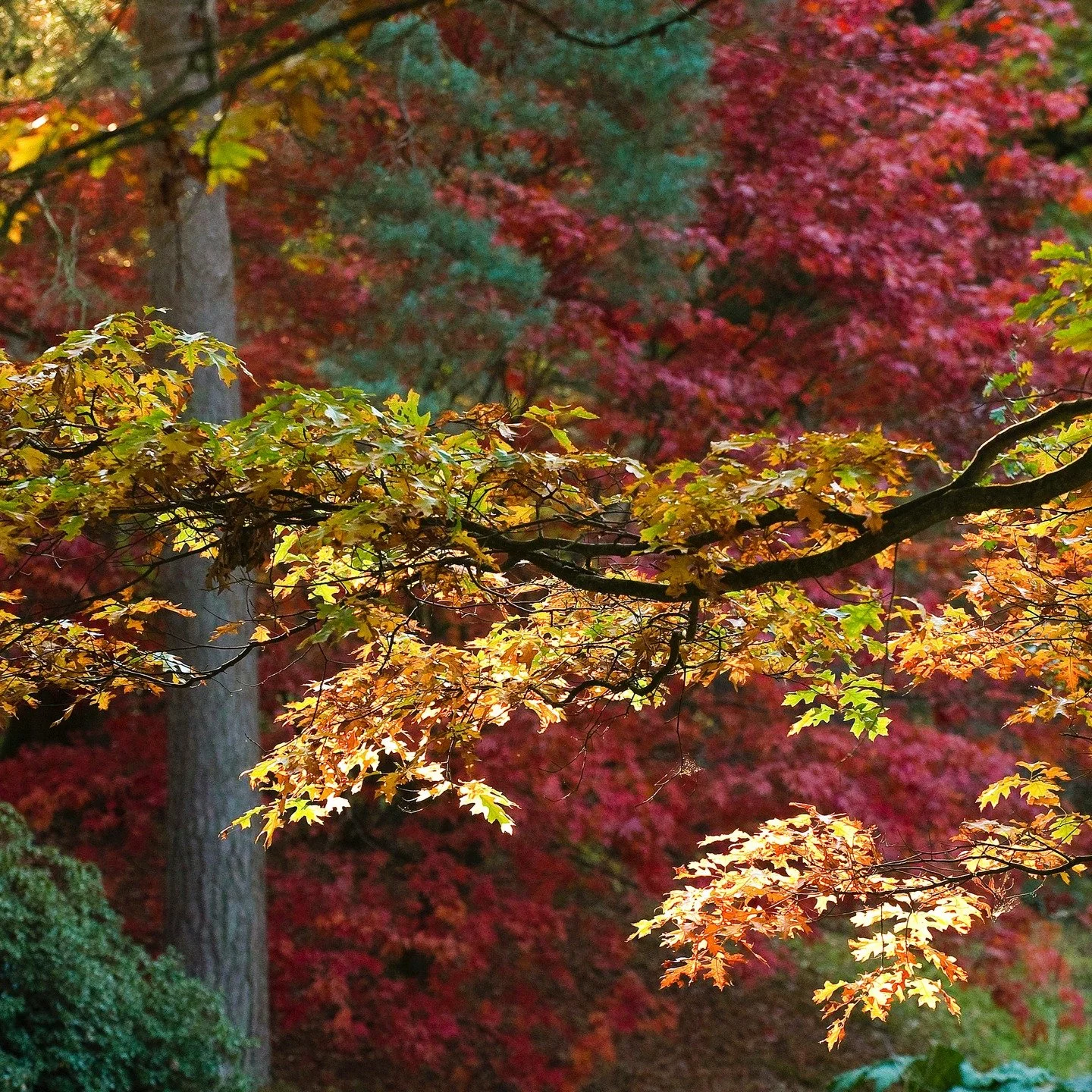 #heaselandsphotolocation
#heaselandsestate
#photolocation
#filmfriendly
#fashionlocation
#woodlandlocation
#luxurybrands
#englishcountryestate
#location
#locationlocationlocation
#locationphotography
#videolocation
#filmlocation
#onlocation
#location