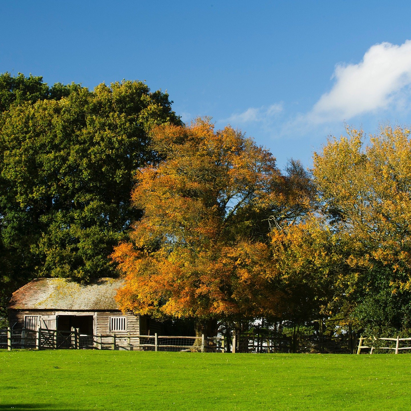 #heaselandsphotolocation
#heaselandsestate
#photolocation
#filmfriendly
#fashionlocation
#woodlandlocation
#luxurybrands
#englishcountryestate
#location
#locationlocationlocation
#locationphotography
#videolocation
#filmlocation
#onlocation
#location