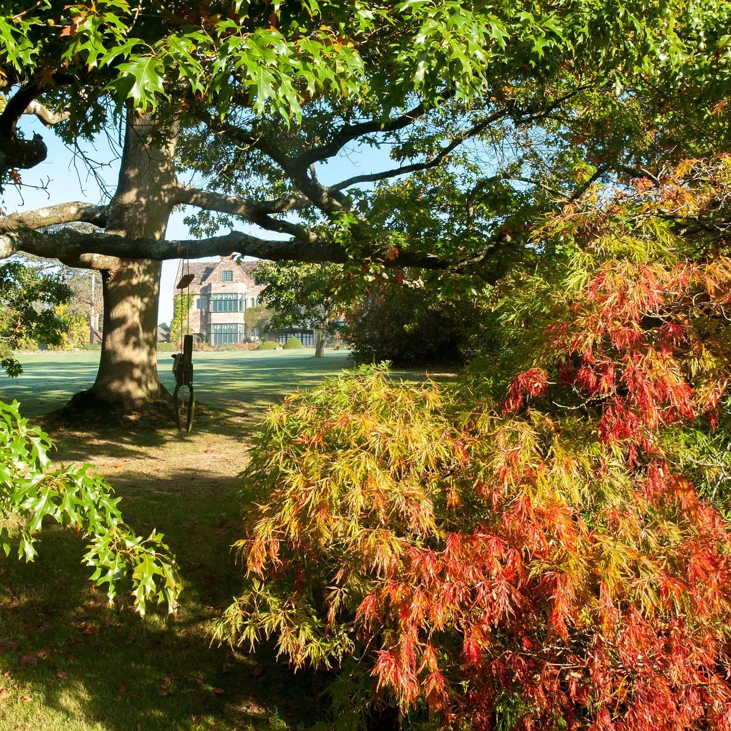 #heaselandsphotolocation
#heaselandsestate
#photolocation
#ropeswing
#filmfriendly
#fashionlocation
#woodlandlocation
#luxurybrands
#englishcountryestate
#location
#locationlocationlocation
#locationphotography
#videolocation
#filmlocation
#onlocatio