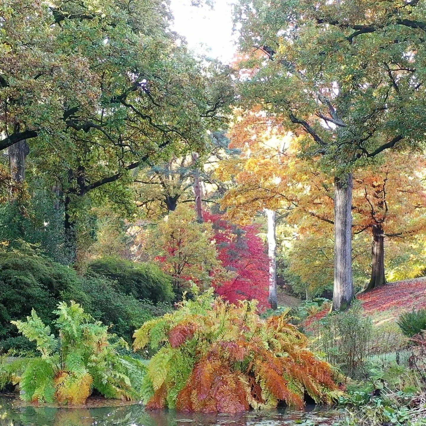 #heaselandsphotolocation
#heaselandsestate
#photolocation
#filmfriendly
#fashionlocation
#woodlandlocation
#luxurybrands
#englishcountryestate
#location
#locationlocationlocation
#locationphotography
#videolocation
#filmlocation
#onlocation
#location