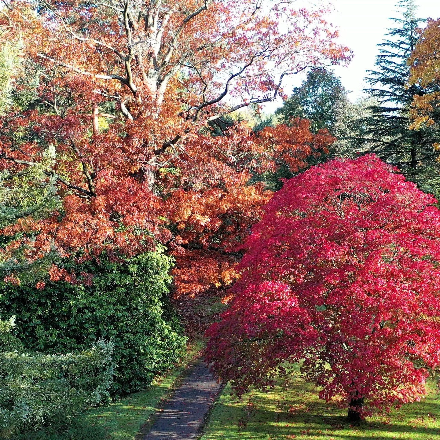 #heaselandsphotolocation
#heaselandsestate
#photolocation
#redleaves
#filmfriendly
#fashionlocation
#woodlandlocation
#luxurybrands
#englishcountryestate
#location
#locationlocationlocation
#locationphotography
#videolocation
#filmlocation
#onlocatio