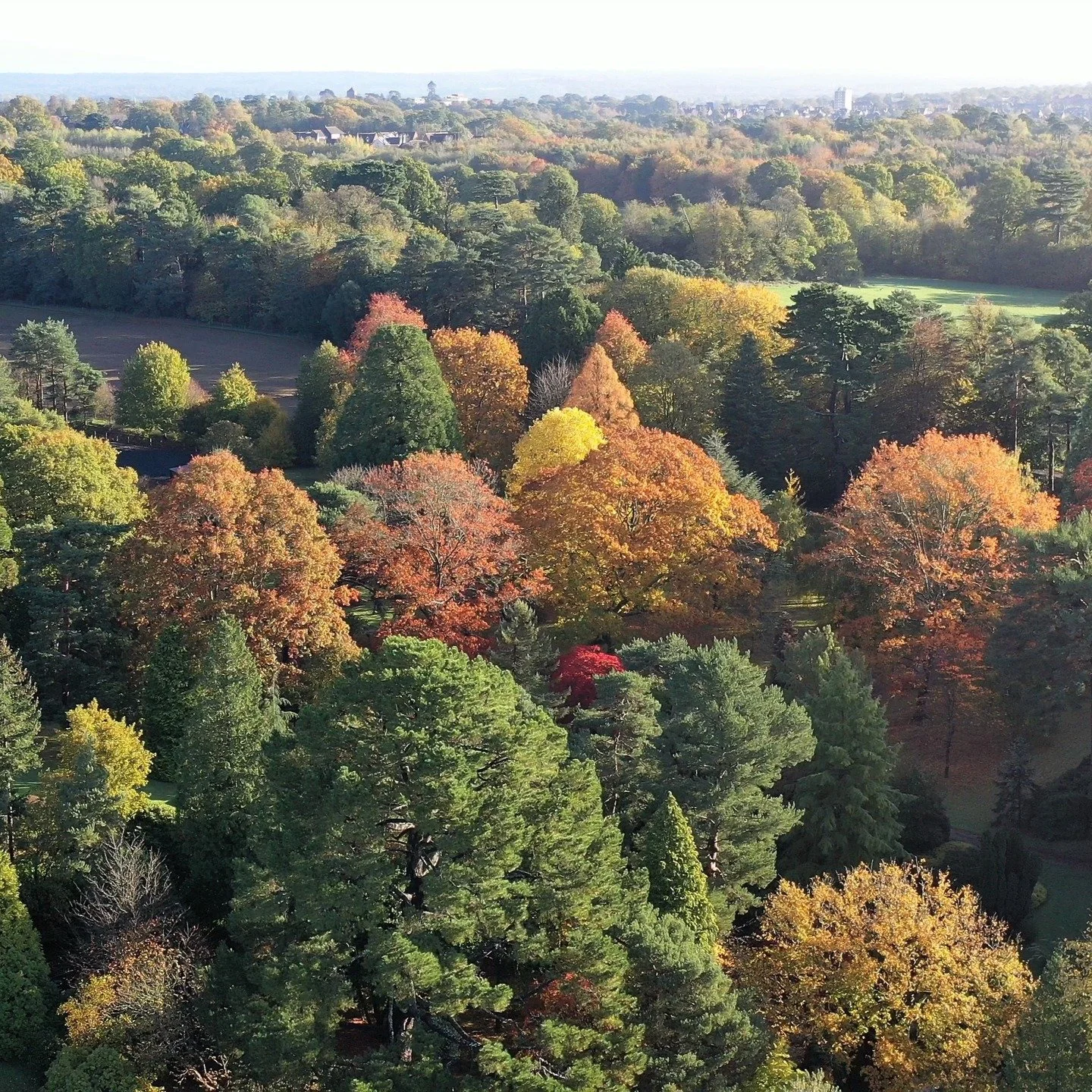 #heaselandsphotolocation
#heaselandsestate
#photolocation
#filmfriendly
#fashionlocation
#woodlandlocation
#luxurybrands
#englishcountryestate
#location
#locationlocationlocation
#locationphotography
#videolocation
#filmlocation
#onlocation
#location