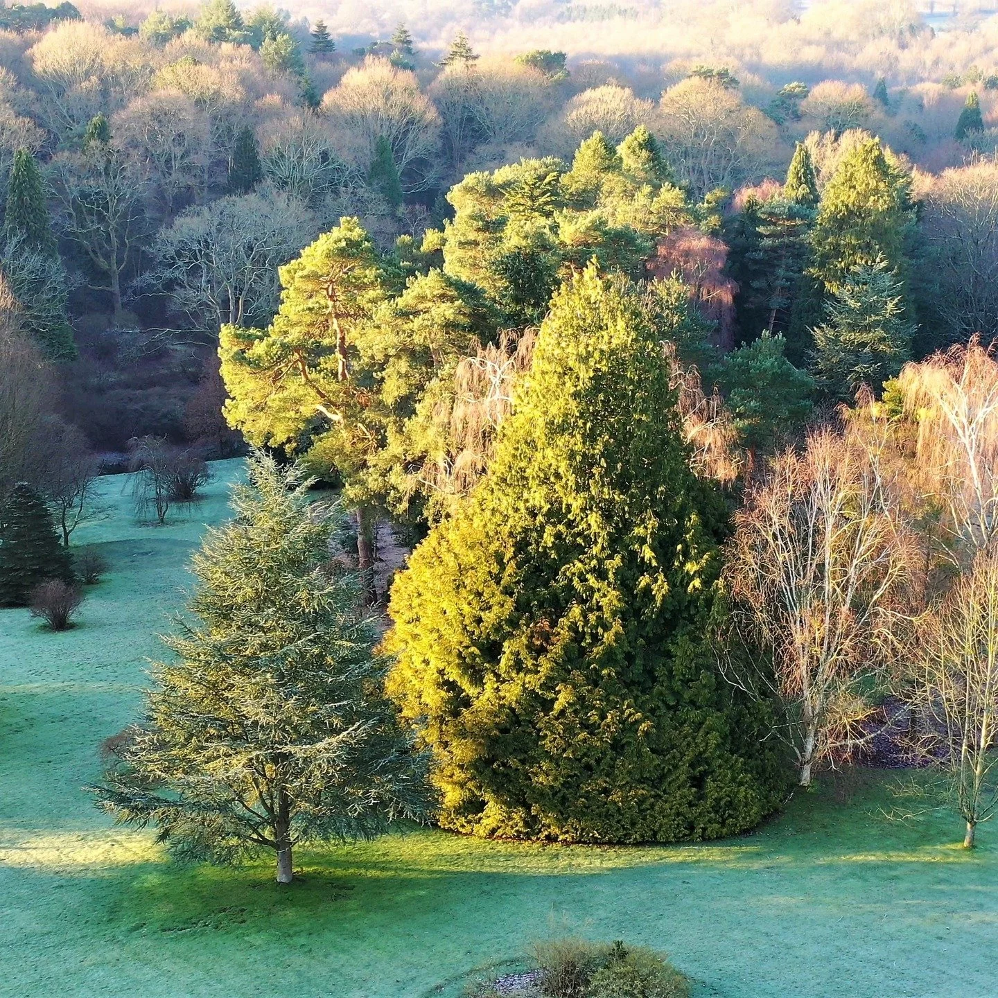 #heaselandsphotolocation
#heaselandsestate
#photolocation
#filmfriendly
#fashionlocation
#woodlandlocation
#luxurybrands
#englishcountryestate
#location
#locationlocationlocation
#locationphotography
#videolocation
#filmlocation
#onlocation
#location