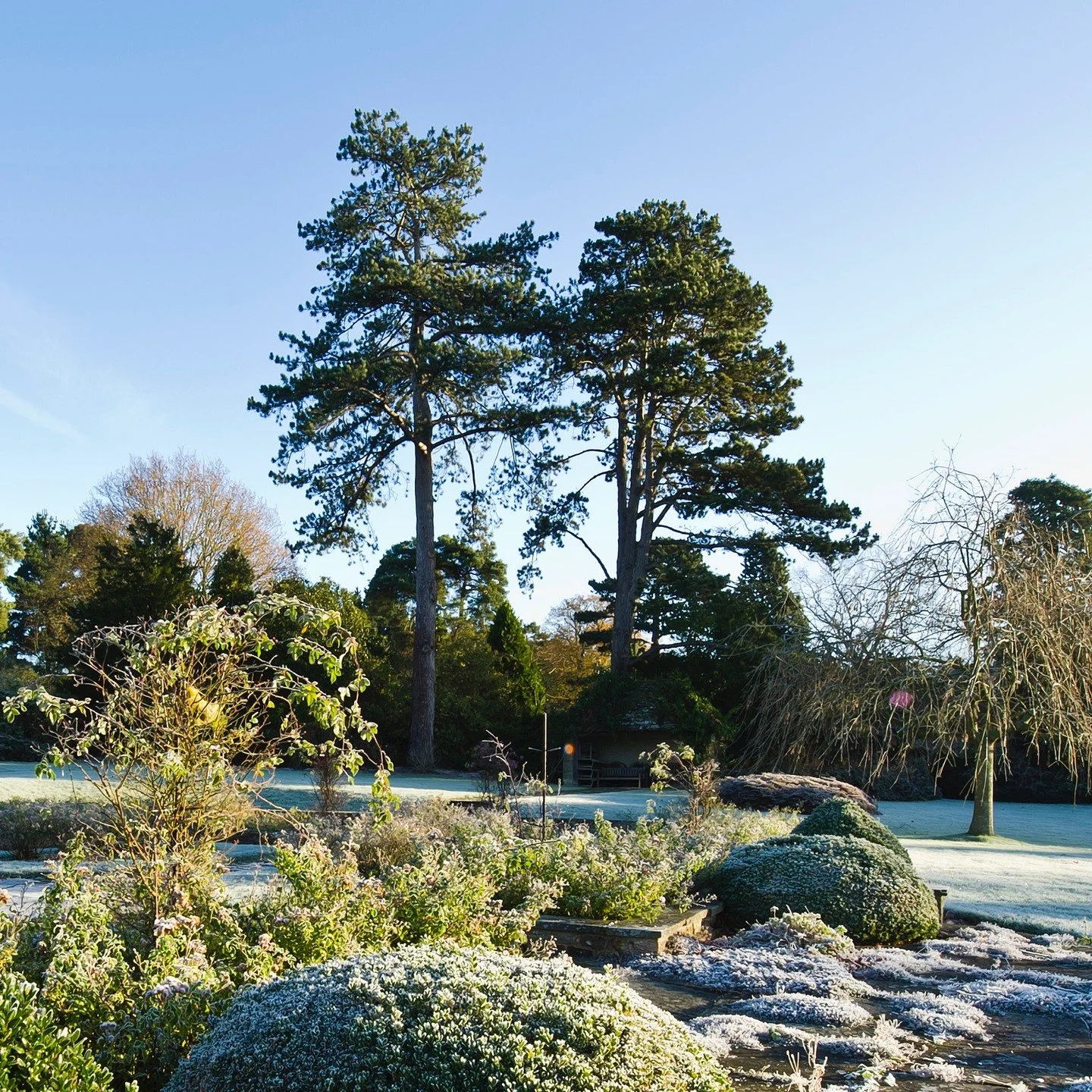 #heaselandsphotolocation
#heaselandsestate
#photolocation
#filmfriendly
#fashionlocation
#woodlandlocation
#luxurybrands
#englishcountryestate
#location
#locationlocationlocation
#locationphotography
#videolocation
#filmlocation
#onlocation
#location