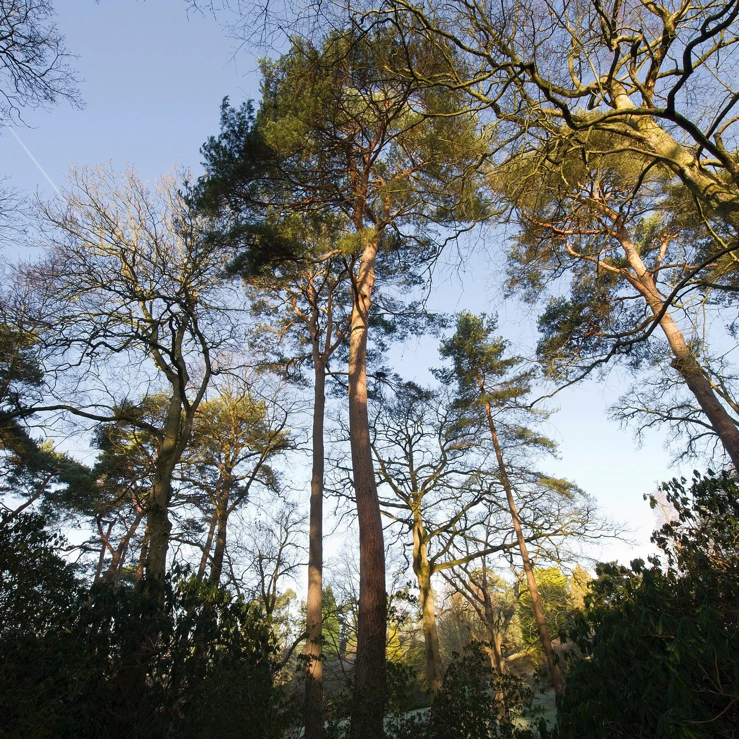 #heaselandsphotolocation
#heaselandsestate
#photolocation
#filmfriendly
#fashionlocation
#woodlandlocation
#luxurybrands
#englishcountryestate
#location
#locationlocationlocation
#locationphotography
#videolocation
#filmlocation
#onlocation
#location