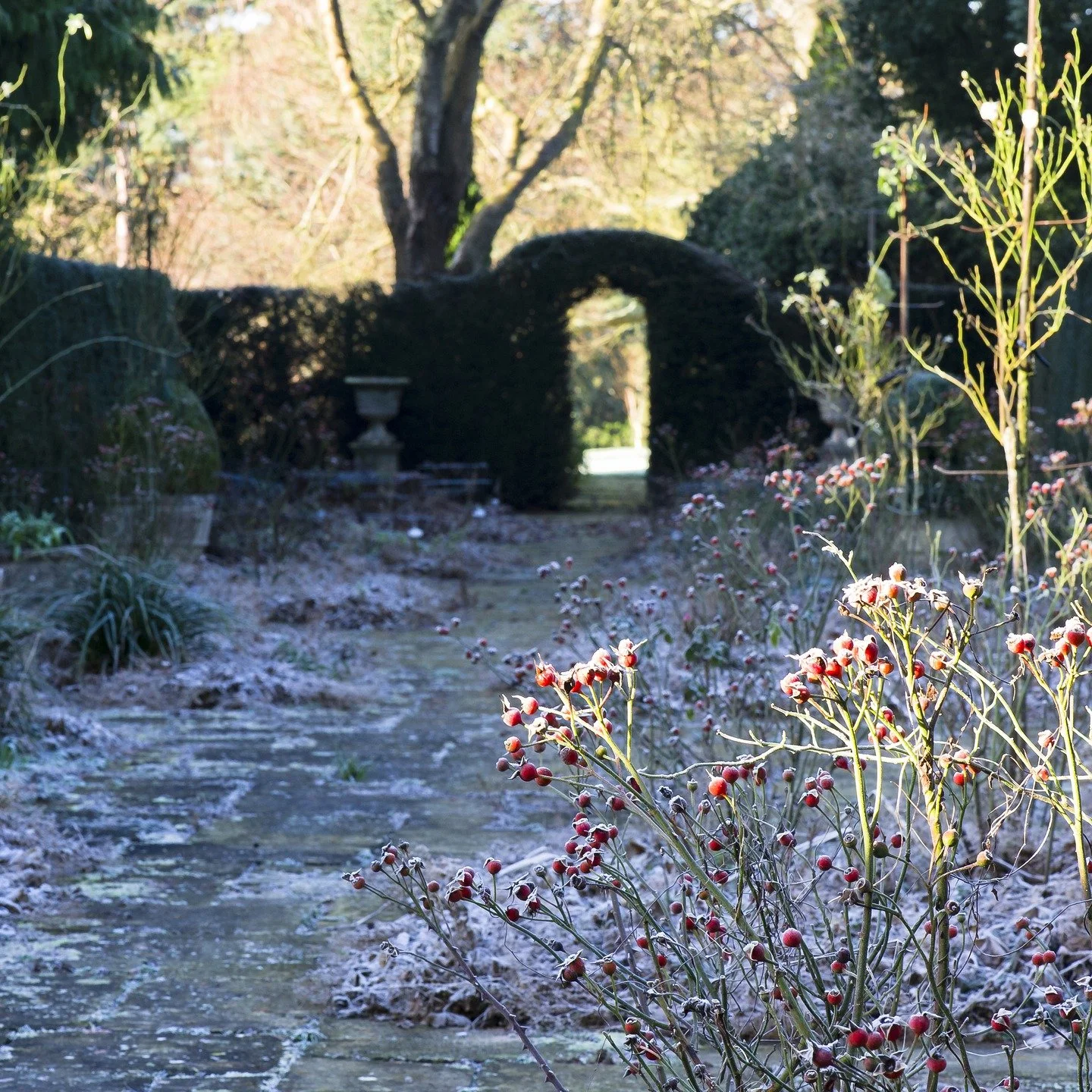 #heaselandsphotolocation
#heaselandsestate
#photolocation
#filmfriendly
#fashionlocation
#woodlandlocation
#luxurybrands
#englishcountryestate
#location
#locationlocationlocation
#locationphotography
#videolocation
#filmlocation
#onlocation
#location