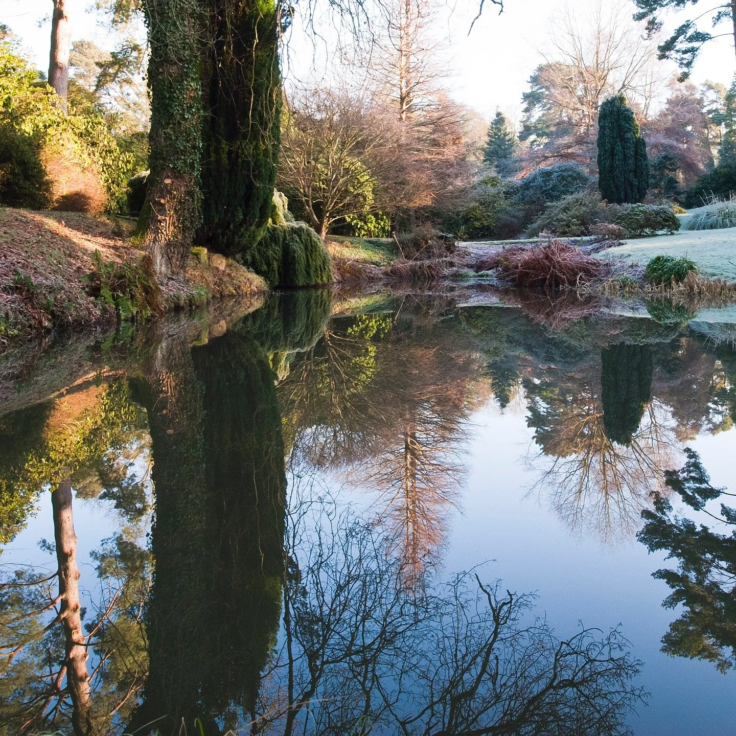 #heaselandsphotolocation
#heaselandsestate
#photolocation
#filmfriendly
#fashionlocation
#woodlandlocation
#luxurybrands
#englishcountryestate
#location
#locationlocationlocation
#locationphotography
#videolocation
#filmlocation
#onlocation
#location