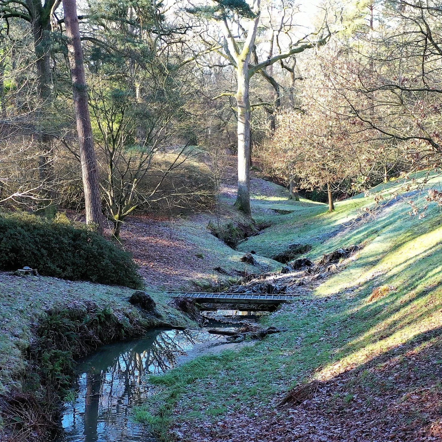 #heaselandsphotolocation
#heaselandsestate
#photolocation
#filmfriendly
#fashionlocation
#woodlandlocation
#luxurybrands
#englishcountryestate
#location
#locationlocationlocation
#locationphotography
#videolocation
#filmlocation
#onlocation
#location