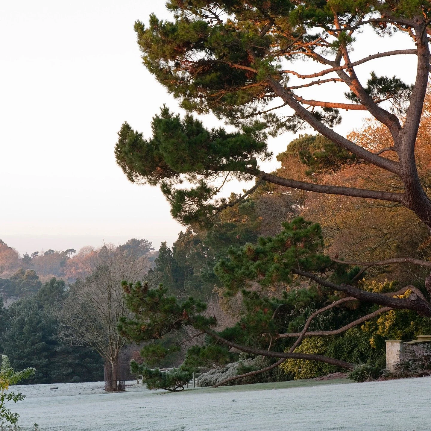 #heaselandsphotolocation
#heaselandsestate
#photolocation
#filmfriendly
#fashionlocation
#woodlandlocation
#luxurybrands
#englishcountryestate
#location
#locationlocationlocation
#locationphotography
#videolocation
#filmlocation
#onlocation
#location