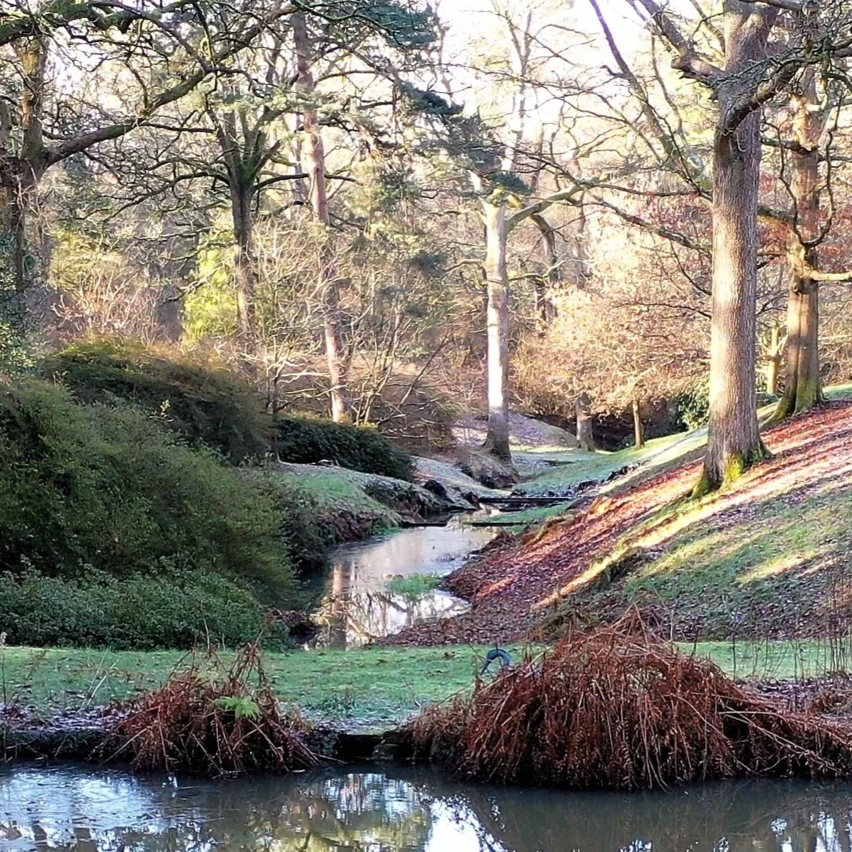 #heaselandsphotolocation
#heaselandsestate
#photolocation
#filmfriendly
#fashionlocation
#woodlandlocation
#luxurybrands
#englishcountryestate
#location
#locationlocationlocation
#locationphotography
#videolocation
#filmlocation
#onlocation
#location