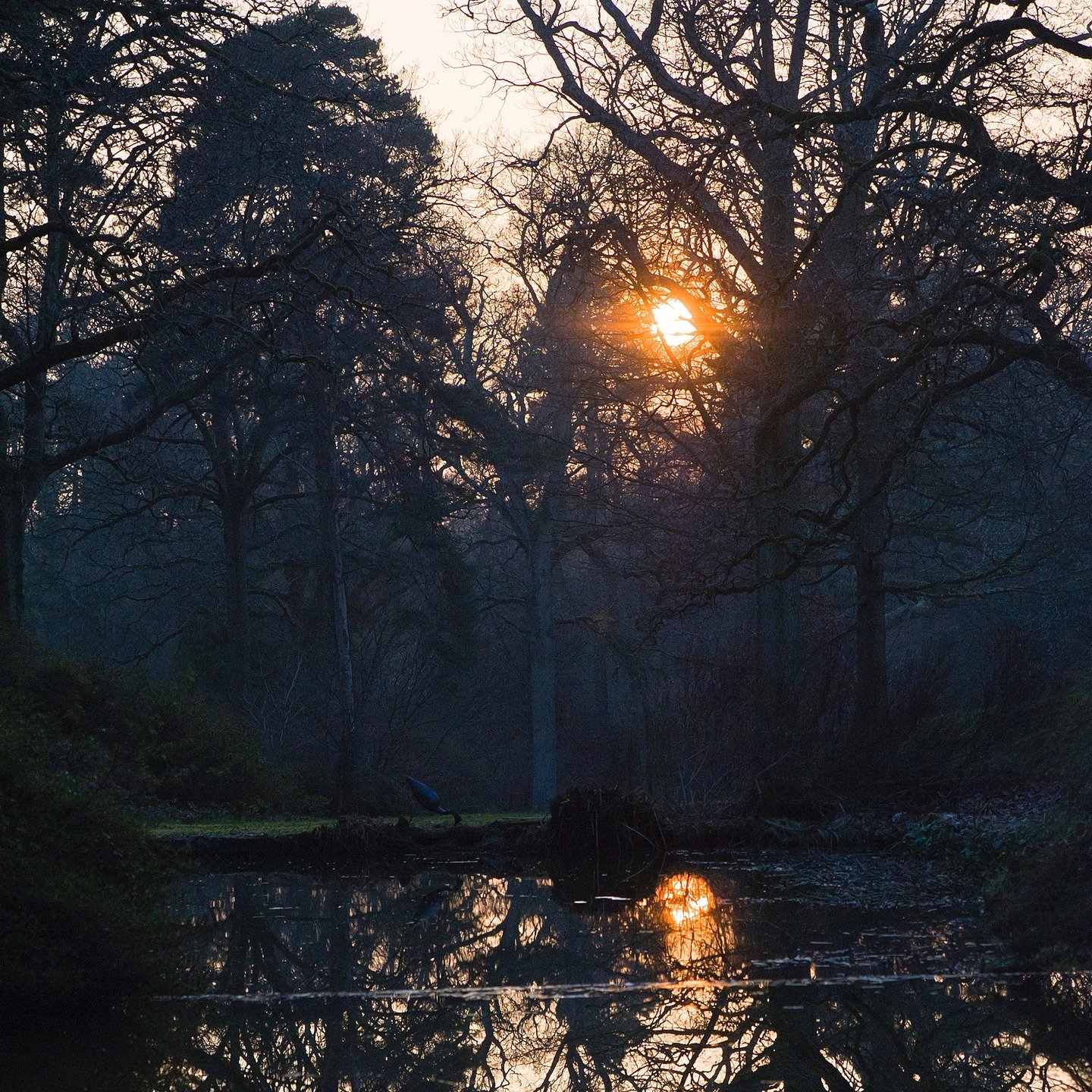 #heaselandsphotolocation
#heaselandsestate
#photolocation
#filmfriendly
#fashionlocation
#woodlandlocation
#luxurybrands
#englishcountryestate
#location
#locationlocationlocation
#locationphotography
#videolocation
#filmlocation
#onlocation
#location