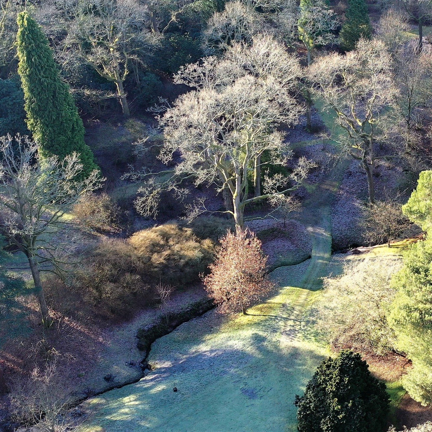 #heaselandsphotolocation
#heaselandsestate
#photolocation
#filmfriendly
#wintersunshine
#fashionlocation
#woodlandlocation
#luxurybrands
#englishcountryestate
#location
#locationlocationlocation
#locationphotography
#videolocation
#filmlocation
#onlo