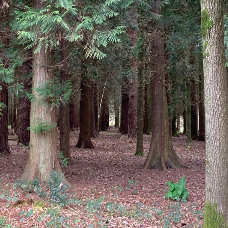 #heaselandsphotolocation
#heaselandsestate
#photolocation
#filmfriendly
#fashionlocation
#woodlandlocation
#luxurybrands
#englishcountryestate
#location
#locationlocationlocation
#locationphotography
#videolocation
#filmlocation
#onlocation
#location