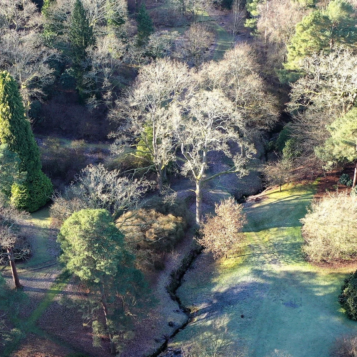 #heaselandsphotolocation
#heaselandsestate
#photolocation
#filmfriendly
#primroses
#fashionlocation
#woodlandlocation
#luxurybrands
#englishcountryestate
#location
#locationlocationlocation
#locationphotography
#videolocation
#filmlocation
#onlocatio