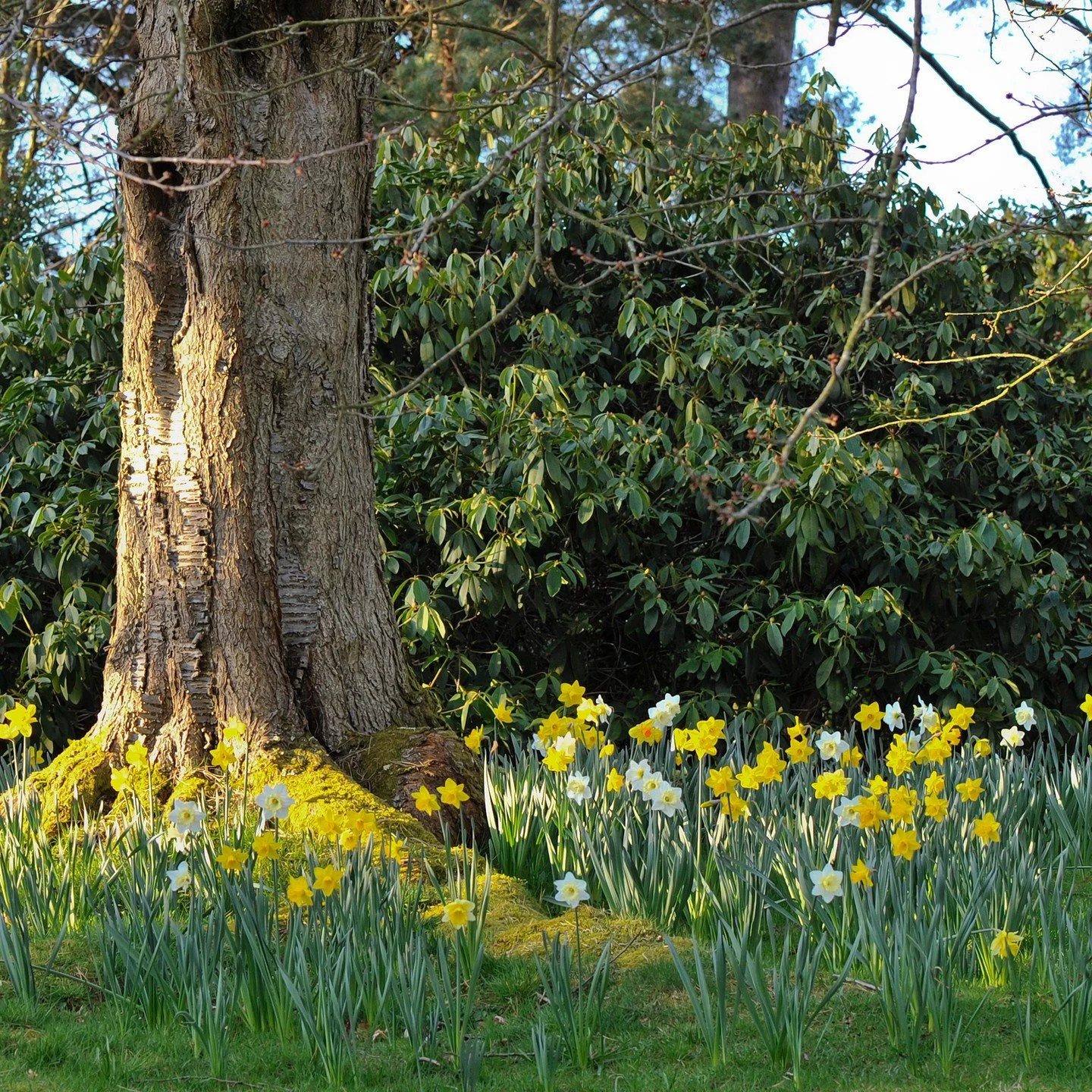 #heaselandsphotolocation
#heaselandsestate
#photolocation
#filmfriendly
#fashionlocation
#woodlandlocation
#luxurybrands
#englishcountryestate
#location
#locationlocationlocation
#locationphotography
#videolocation
#filmlocation
#onlocation
#location