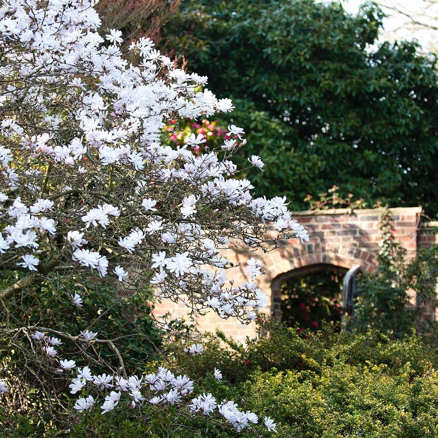 #heaselandsphotolocation
#heaselandsestate
#photolocation
#filmfriendly
#fashionlocation
#woodlandlocation
#luxurybrands
#englishcountryestate
#location
#locationlocationlocation
#locationphotography
#videolocation
#filmlocation
#onlocation
#location