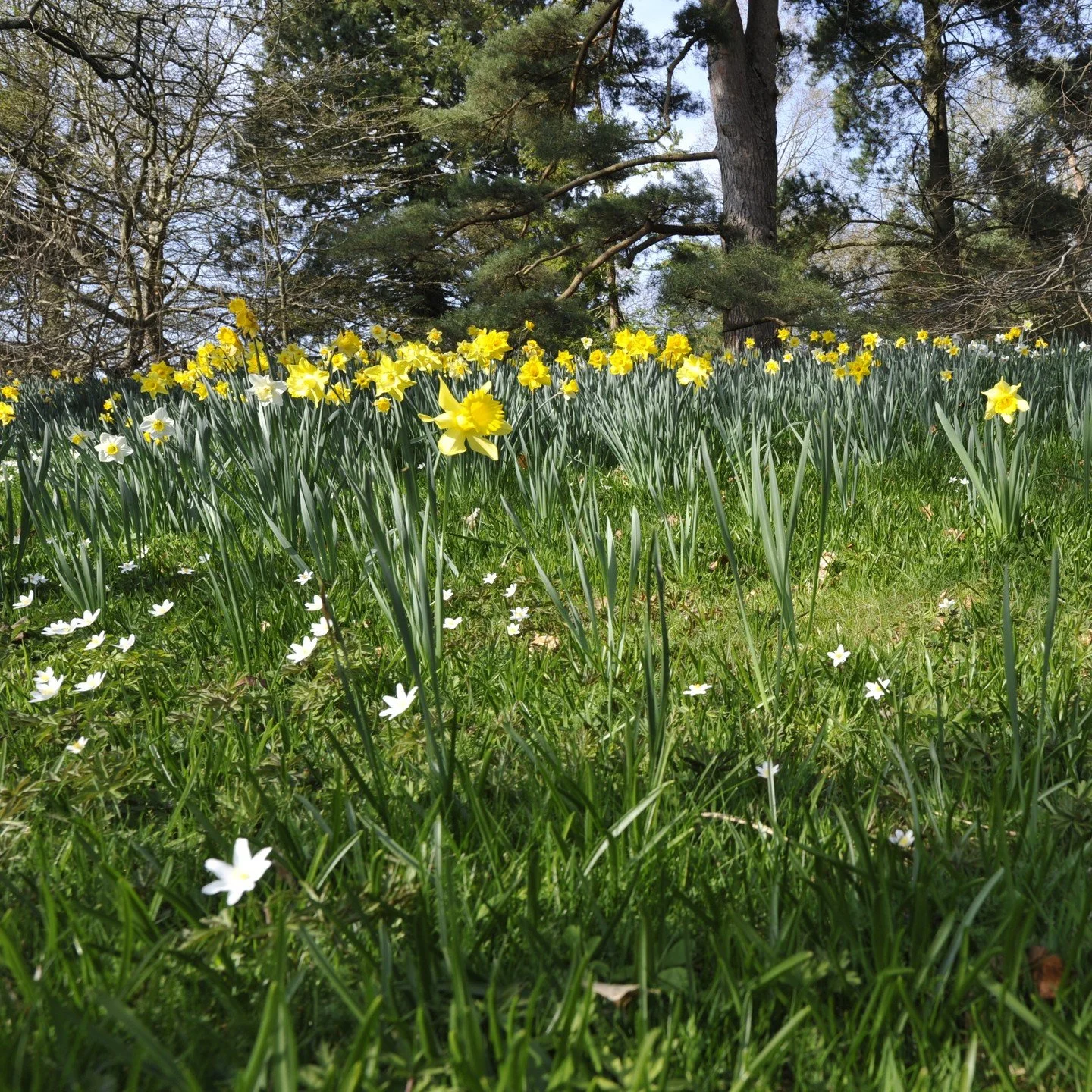 #heaselandsphotolocation
#heaselandsestate
#photolocation
#filmfriendly
#fashionlocation
#woodlandlocation
#luxurybrands
#englishcountryestate
#location
#locationlocationlocation
#locationphotography
#videolocation
#filmlocation
#onlocation
#location