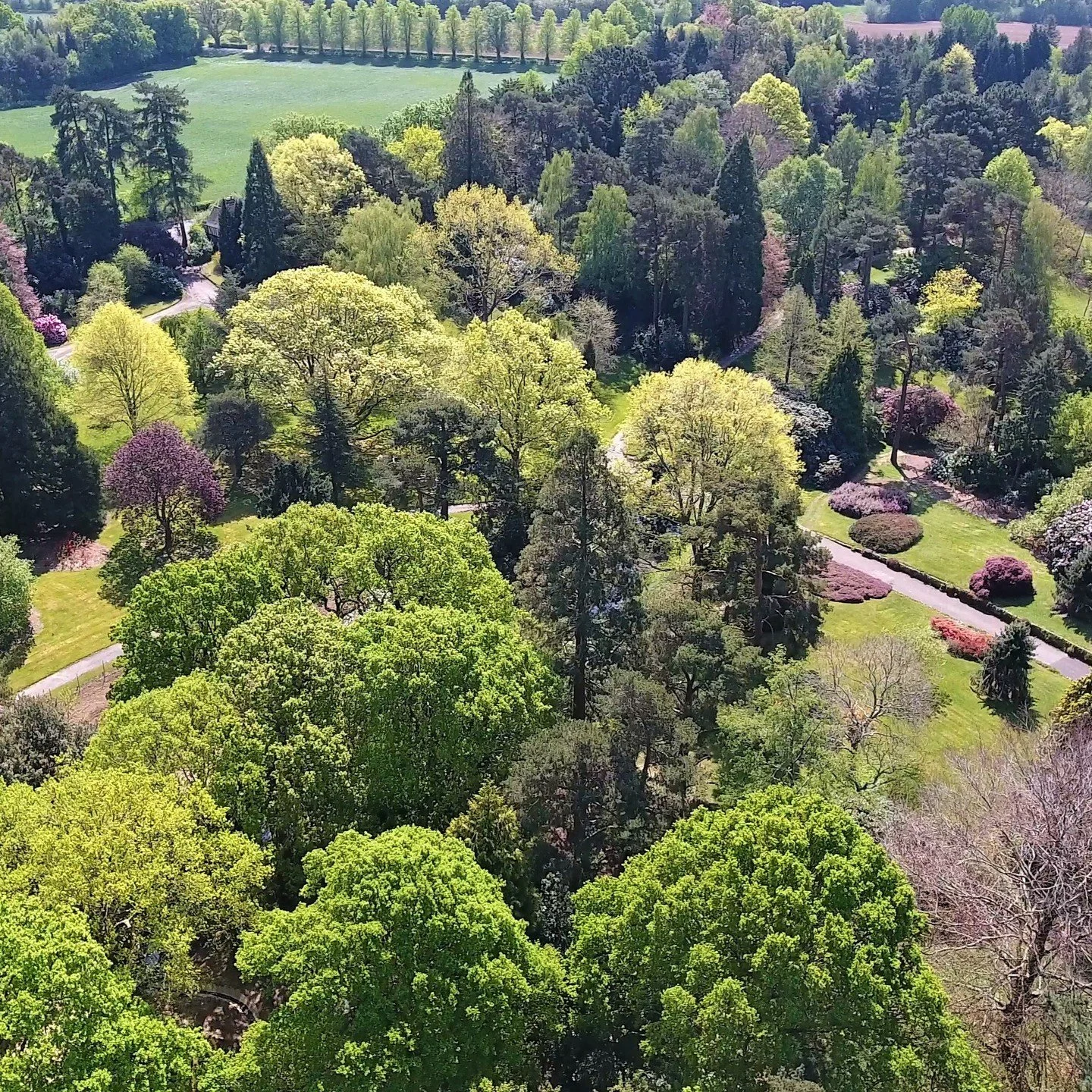 #heaselandsphotolocation
#heaselandsestate
#photolocation
#filmfriendly
#fashionlocation
#woodlandlocation
#luxurybrands
#englishcountryestate
#location
#locationlocationlocation
#locationphotography
#videolocation
#filmlocation
#onlocation
#location