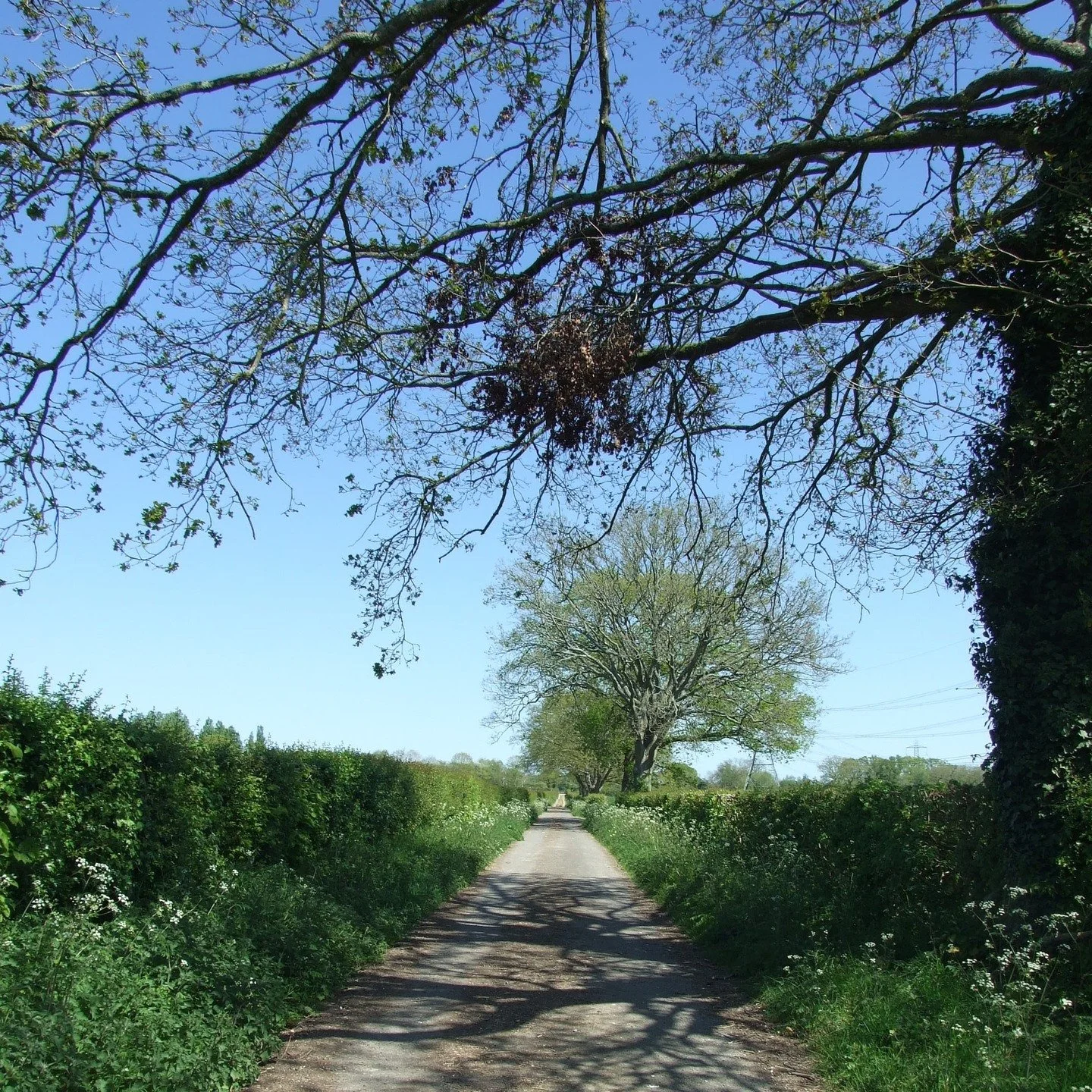 #heaselandsphotolocation
#heaselandsestate
#photolocation
#filmfriendly
#privateroads
#fashionlocation
#woodlandlocation
#luxurybrands
#englishcountryestate
#location
#locationlocationlocation
#locationphotography
#videolocation
#filmlocation
#onloca