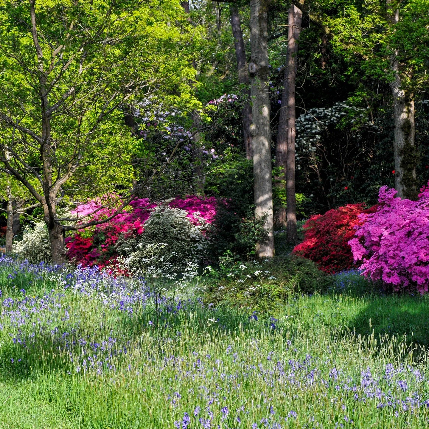 #heaselandsphotolocation
#heaselandsestate
#photolocation
#filmfriendly
#fashionlocation
#woodlandlocation
#luxurybrands
#englishcountryestate
#location
#locationlocationlocation
#locationphotography
#videolocation
#filmlocation
#onlocation
#location