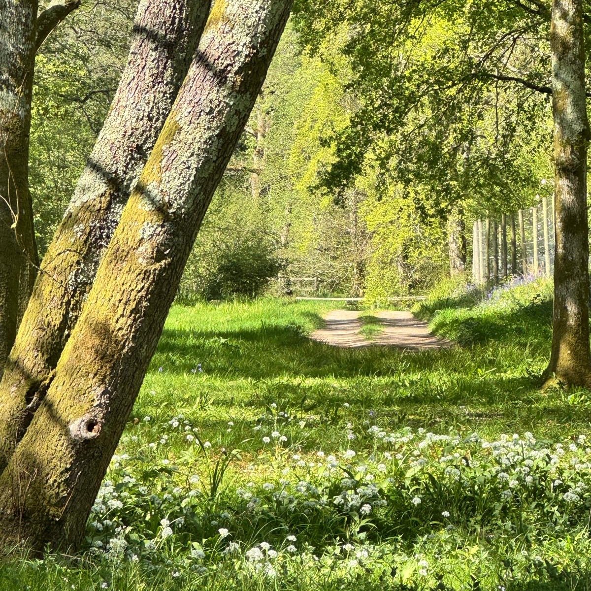 #heaselandsphotolocation
#heaselandsestate
#photolocation
#privateroad
#filmfriendly
#fashionlocation
#woodlandlocation
#luxurybrands
#englishcountryestate
#location
#locationlocationlocation
#locationphotography
#videolocation
#filmlocation
#onlocat