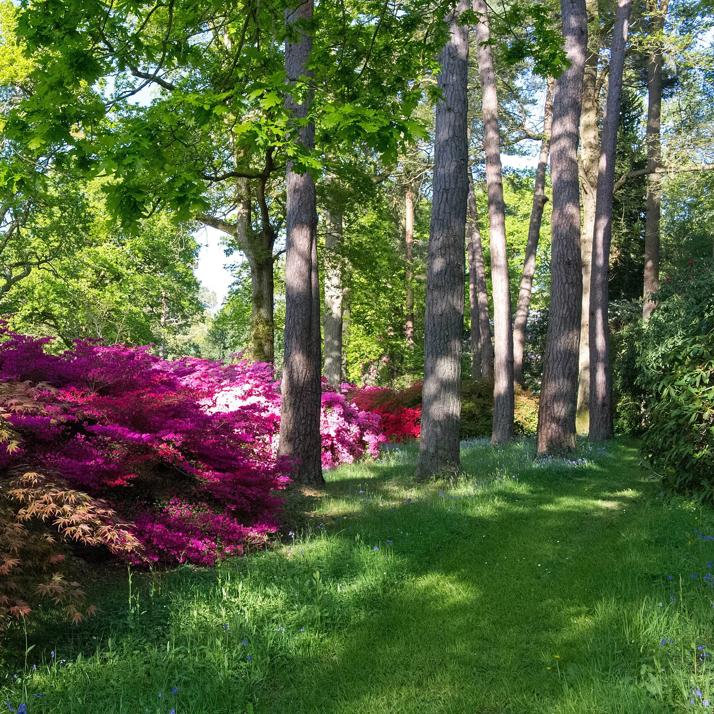 #heaselandsphotolocation
#heaselandsestate
#photolocation
#filmfriendly
#fashionlocation
#woodlandlocation
#luxurybrands
#englishcountryestate
#location
#locationlocationlocation
#locationphotography
#videolocation
#filmlocation
#onlocation
#location