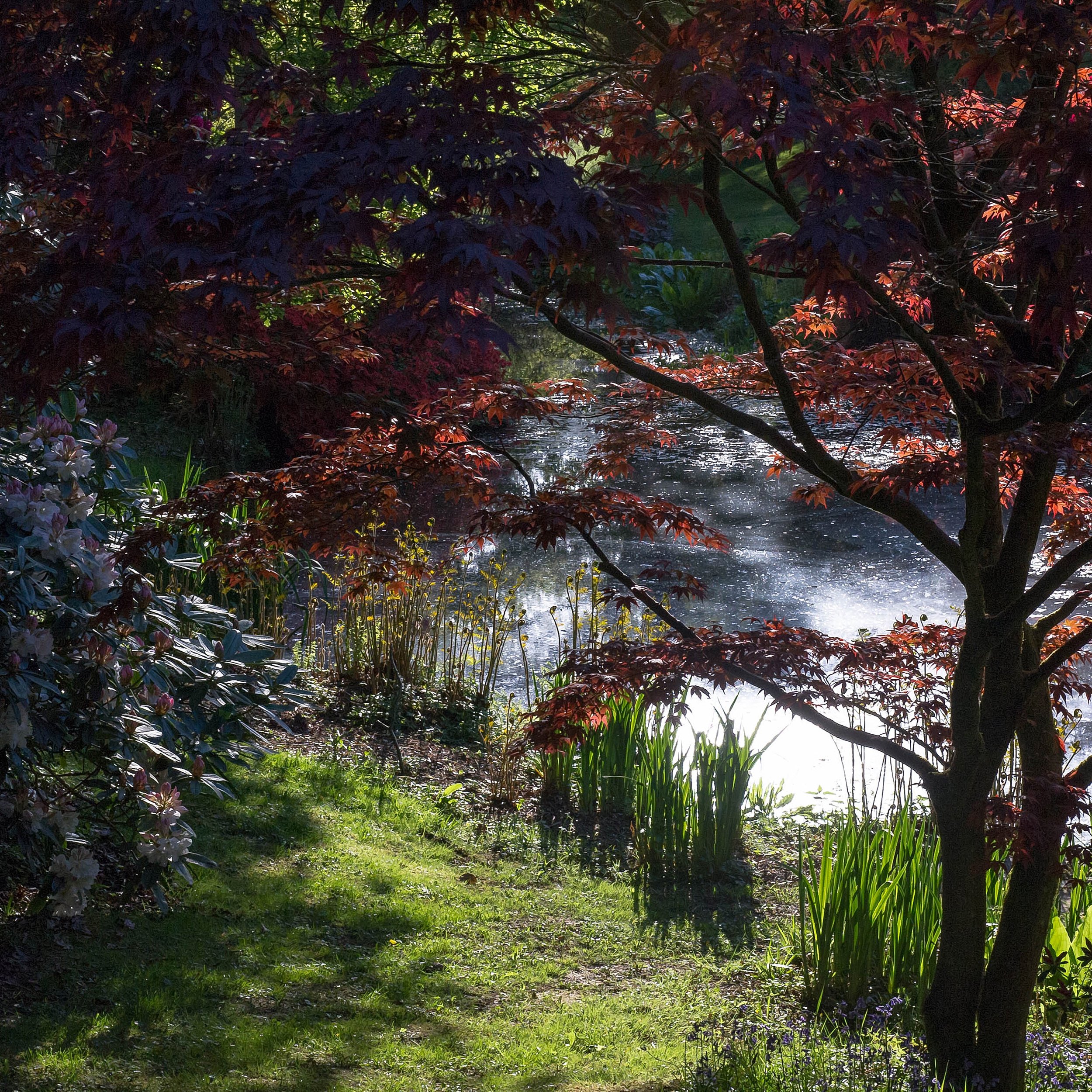 #heaselandsphotolocation
#heaselandsestate
#photolocation
#filmfriendly
#fashionlocation
#woodlandlocation
#luxurybrands
#englishcountryestate
#location
#locationlocationlocation
#locationphotography
#videolocation
#filmlocation
#onlocation
#location