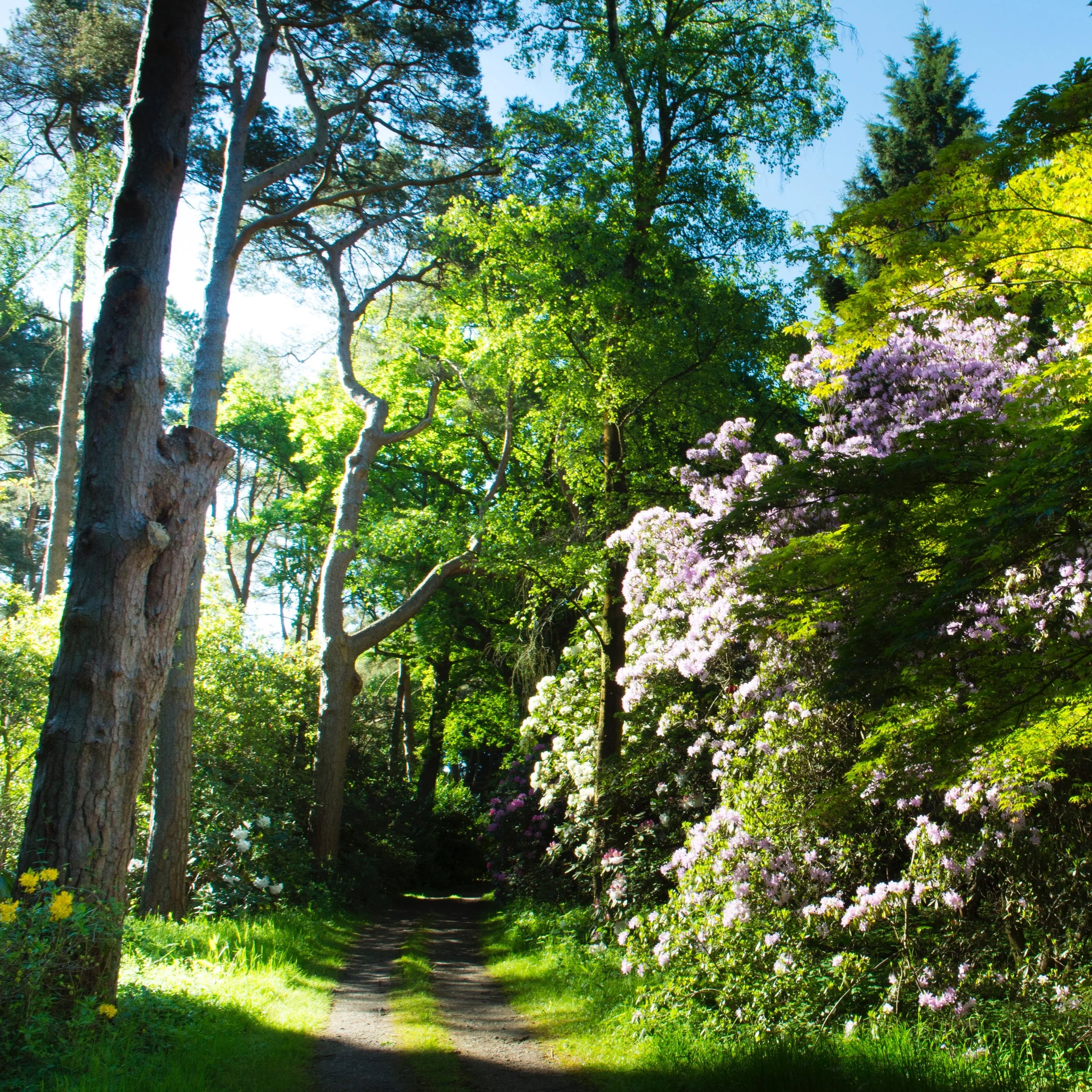 #heaselandsphotolocation
#heaselandsestate
#photolocation
#filmfriendly
#fashionlocation
#woodlandlocation
#luxurybrands
#englishcountryestate
#location
#locationlocationlocation
#locationphotography
#videolocation
#filmlocation
#onlocation
#location