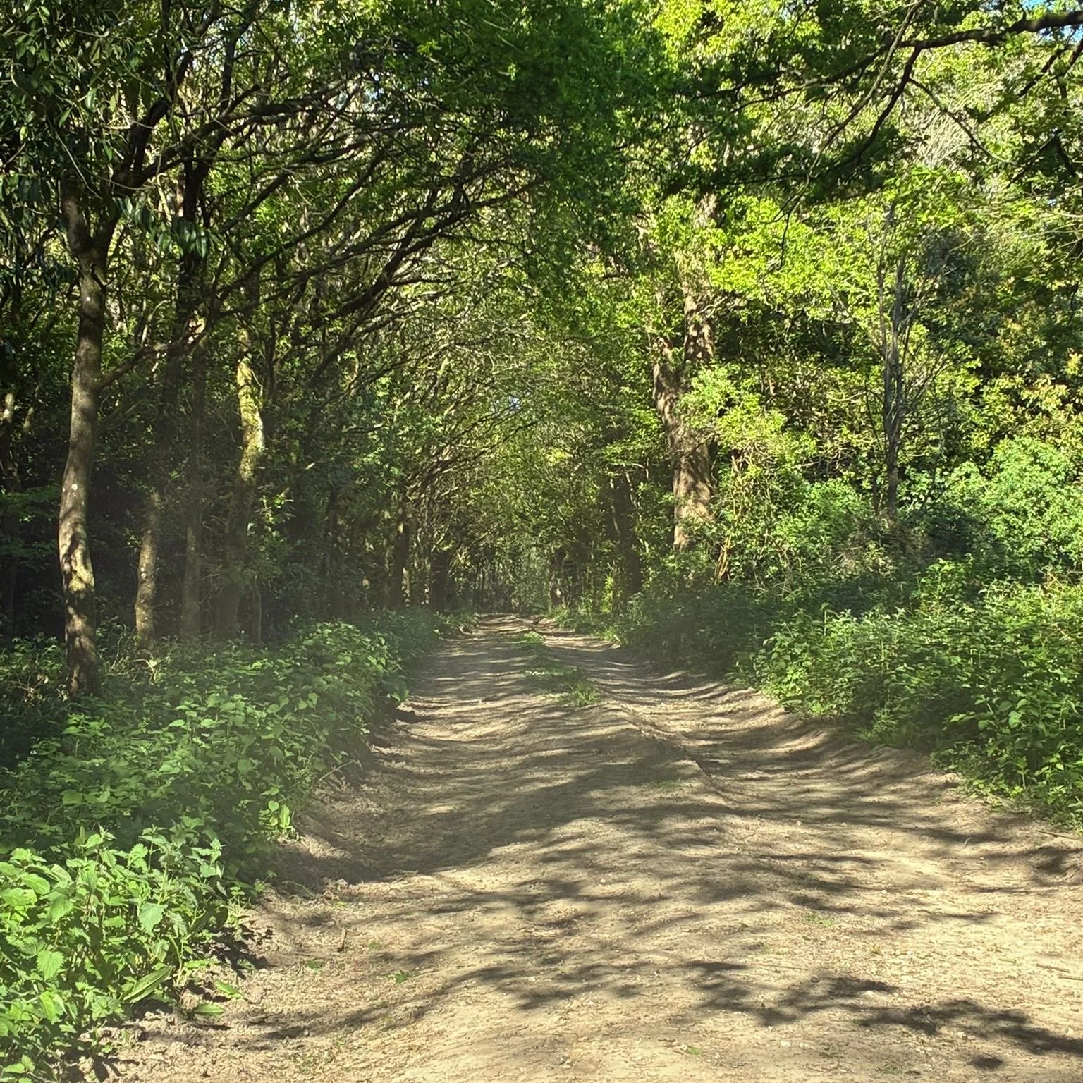 #heaselandsphotolocation
#heaselandsestate
#photolocation
#filmfriendly
#fashionlocation
#woodlandlocation
#luxurybrands
#englishcountryestate
#location
#locationlocationlocation
#locationphotography
#videolocation
#filmlocation
#onlocation
#location