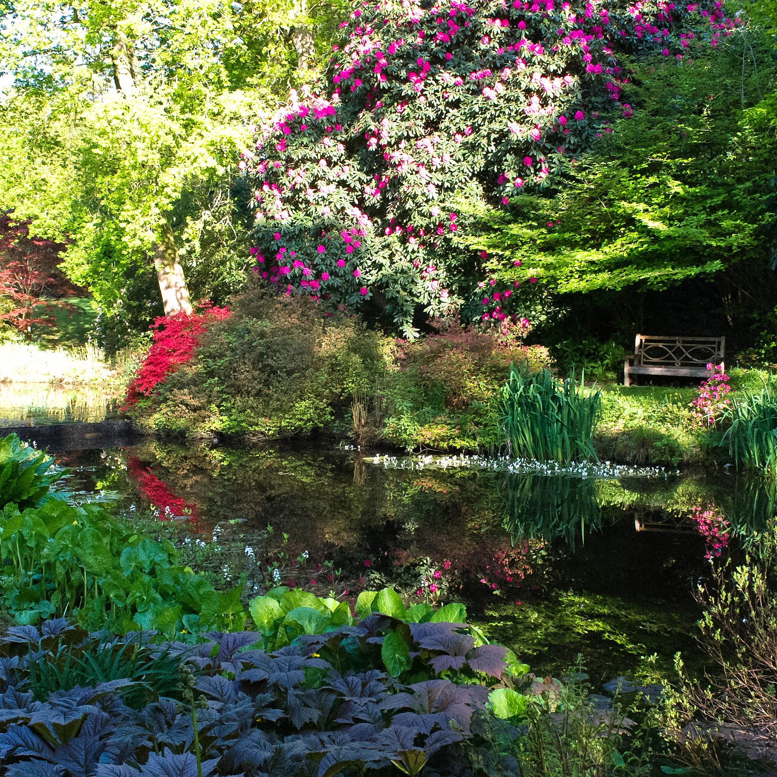 #heaselandsphotolocation
#heaselandsestate
#photolocation
#filmfriendly
#fashionlocation
#woodlandlocation
#luxurybrands
#englishcountryestate
#location
#locationlocationlocation
#locationphotography
#videolocation
#filmlocation
#onlocation
#location