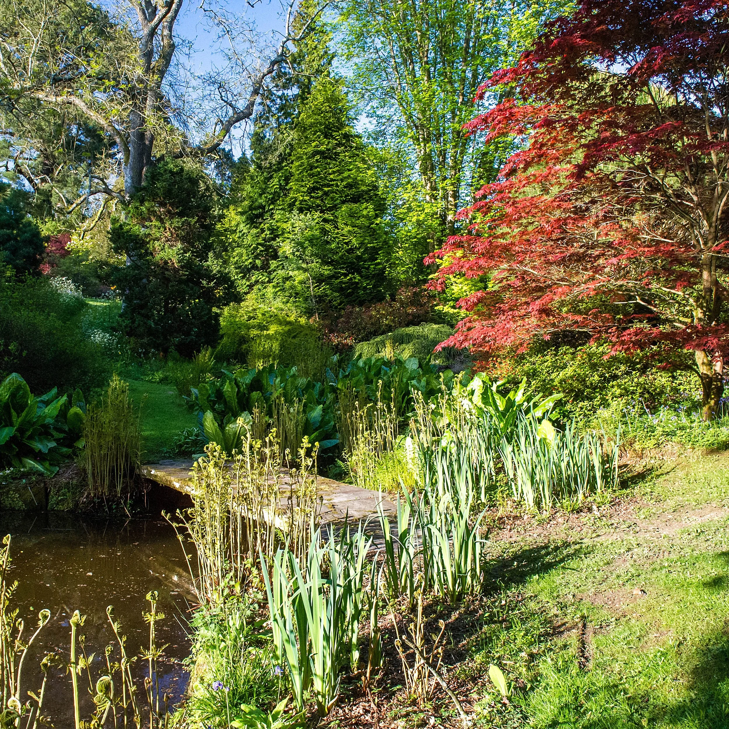 #heaselandsphotolocation
#heaselandsestate
#photolocation
#filmfriendly
#fashionlocation
#woodlandlocation
#luxurybrands
#englishcountryestate
#location
#locationlocationlocation
#locationphotography
#videolocation
#filmlocation
#onlocation
#location
