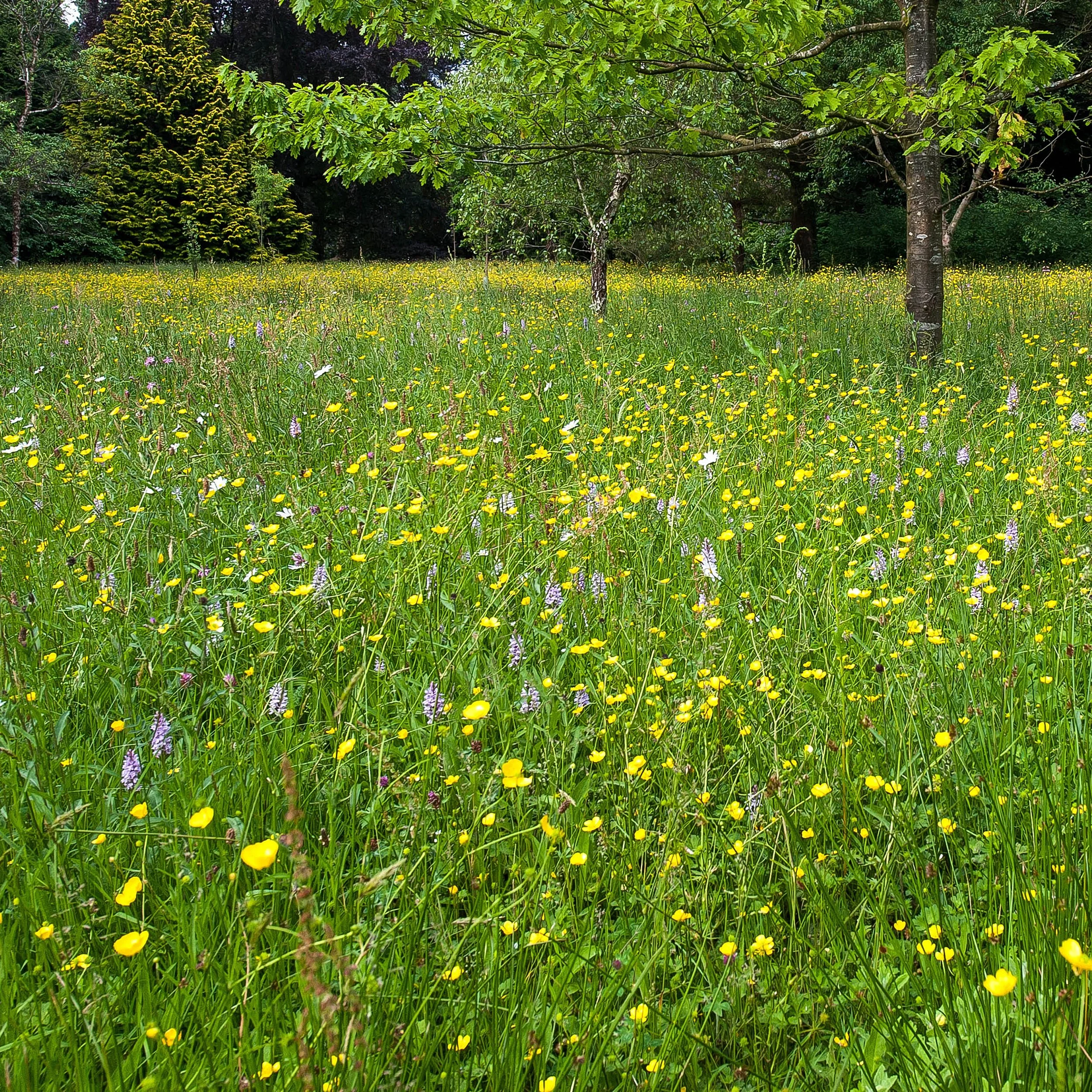 #heaselandsphotolocation
#heaselandsestate
#photolocation
#filmfriendly
#fashionlocation
#woodlandlocation
#luxurybrands
#englishcountryestate
#location
#locationlocationlocation
#locationphotography
#videolocation
#filmlocation
#onlocation
#location