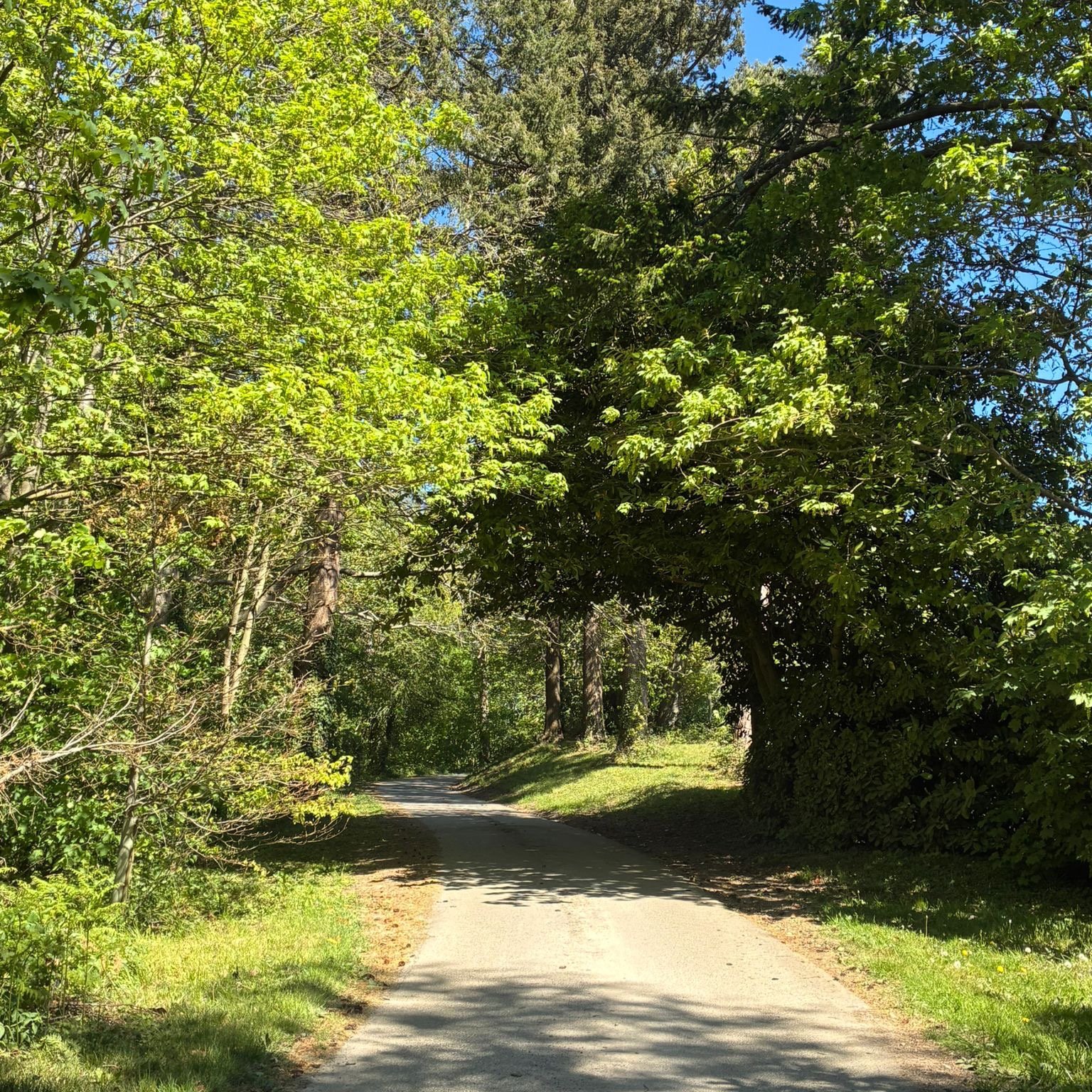 #heaselandsphotolocation
#heaselandsestate
#photolocation
#filmfriendly
#fashionlocation
#woodlandlocation
#luxurybrands
#englishcountryestate
#location
#locationlocationlocation
#locationphotography
#videolocation
#filmlocation
#onlocation
#location